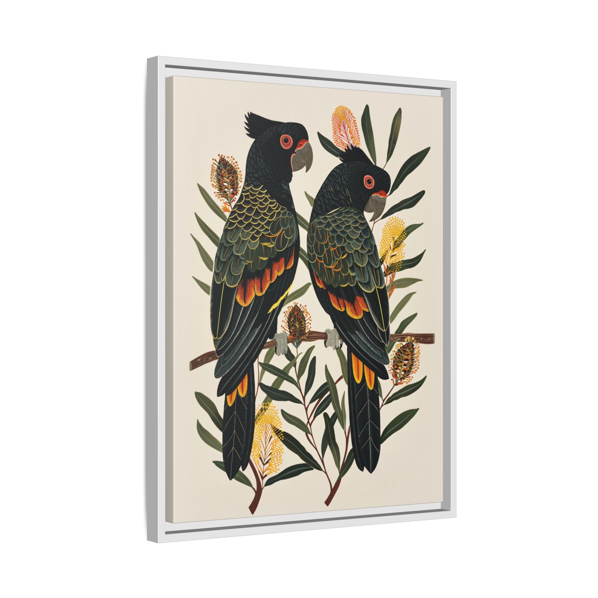 Framed Canvas - Black Cockatoos Among Banksia