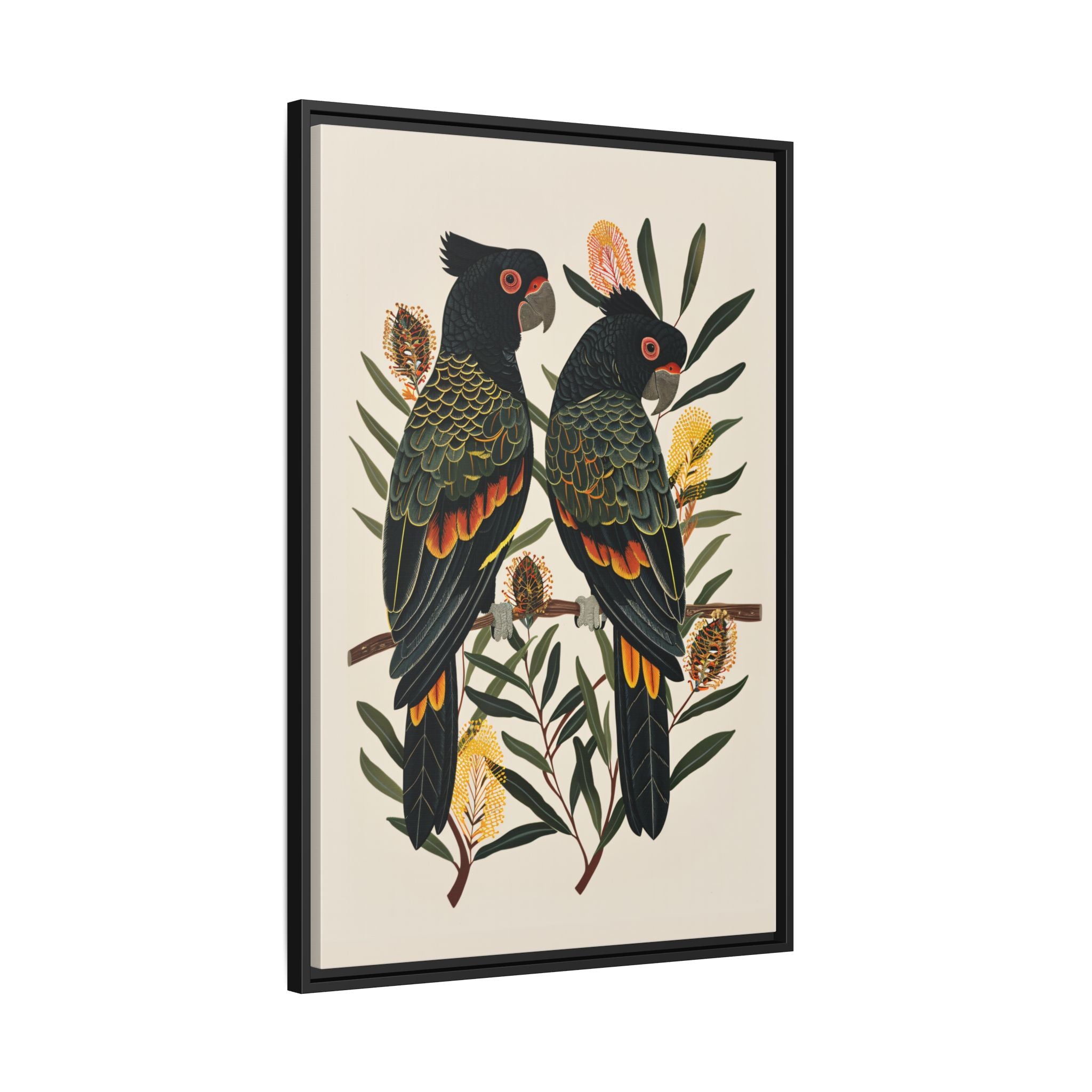 Framed Canvas - Black Cockatoos Among Banksia
