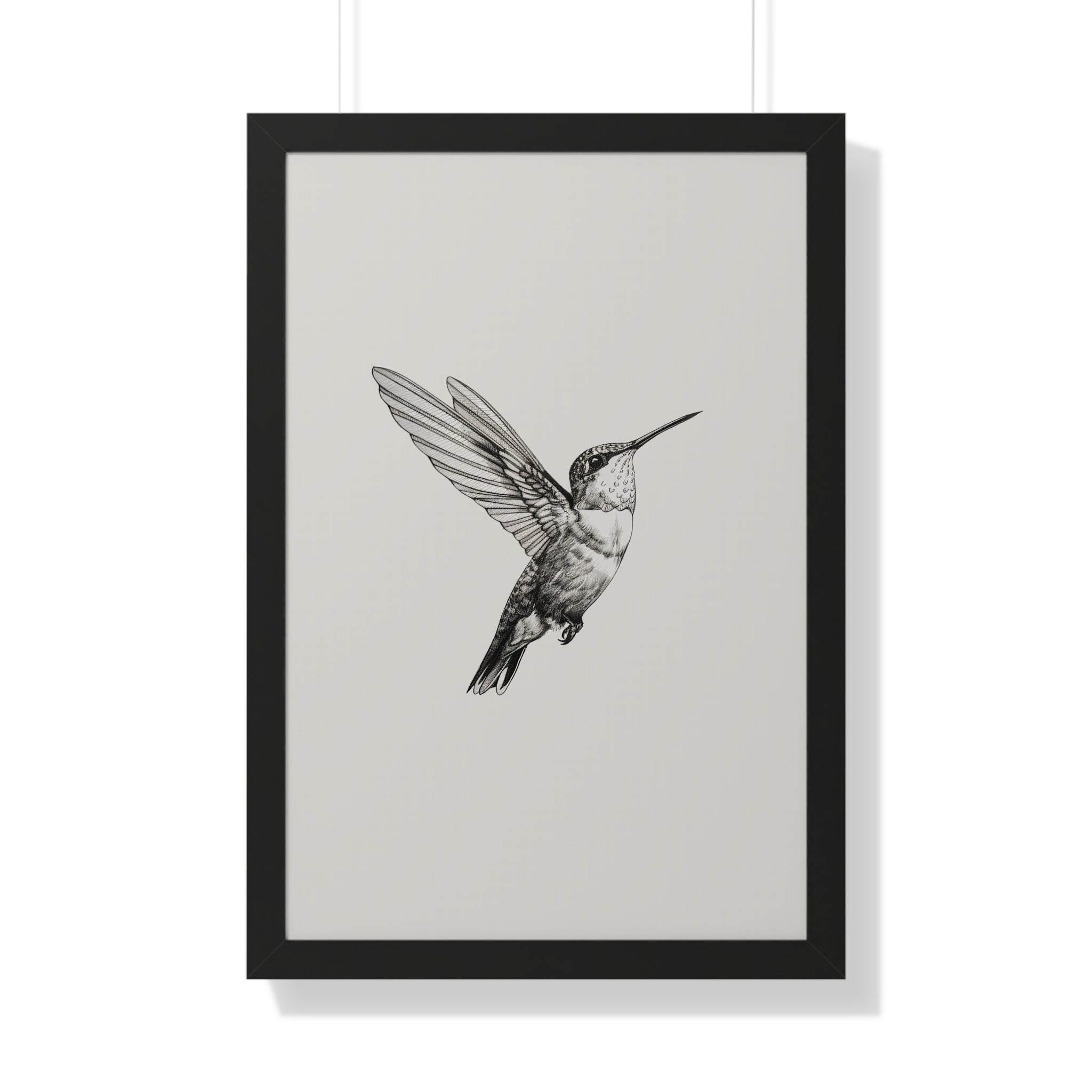 Framed Paper Print - Flying Hummingbird Line Study