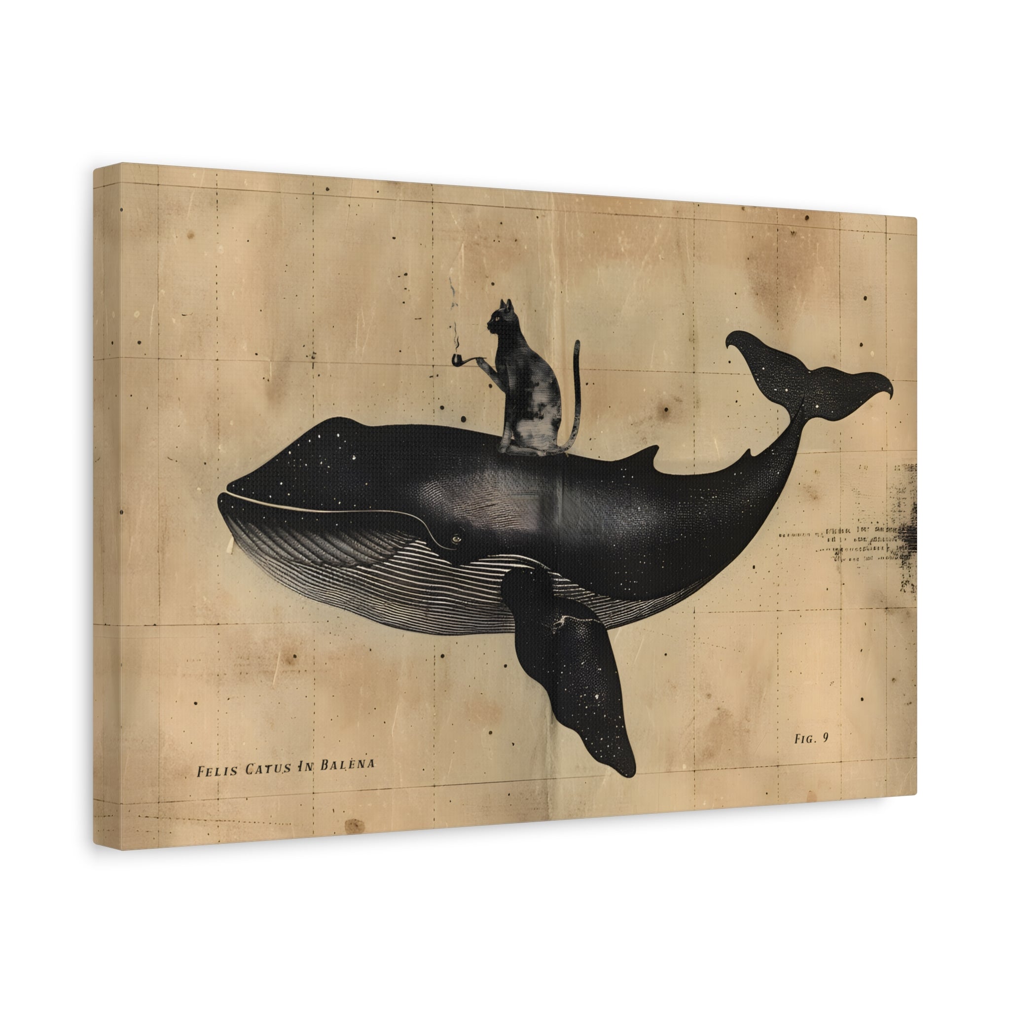 1.25" Matte Canvas - Cat Rides Whale Theory