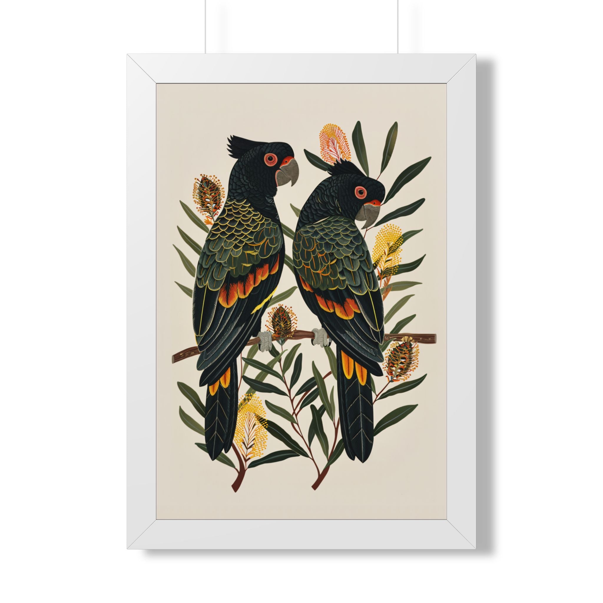 Framed Paper Print - Black Cockatoos Among Banksia