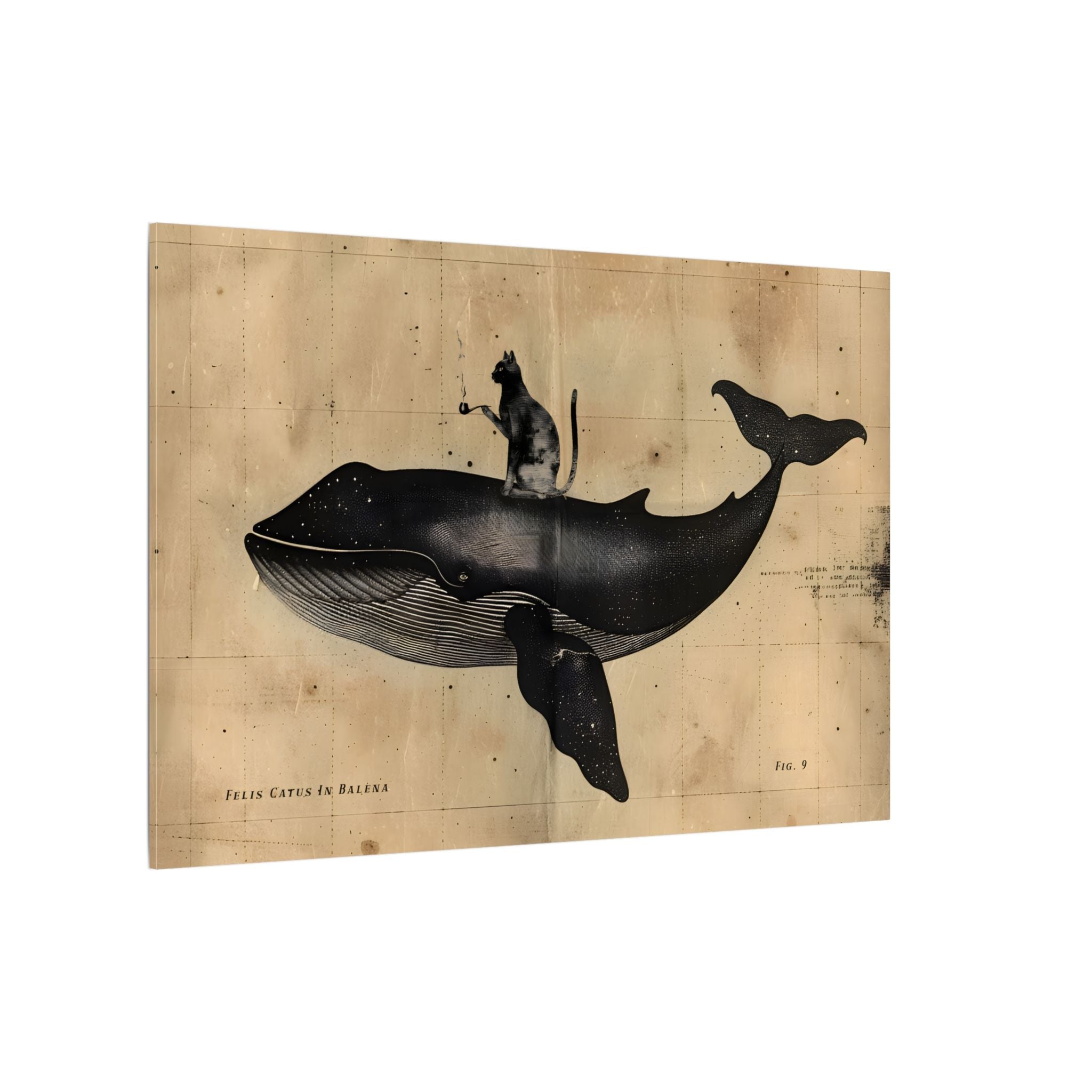 .75" Matte Canvas - Cat Rides Whale Theory
