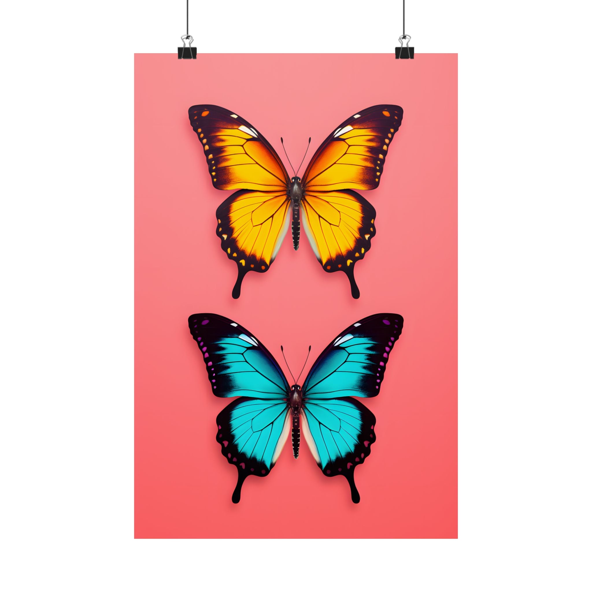 Dueling Butterflies Wonder