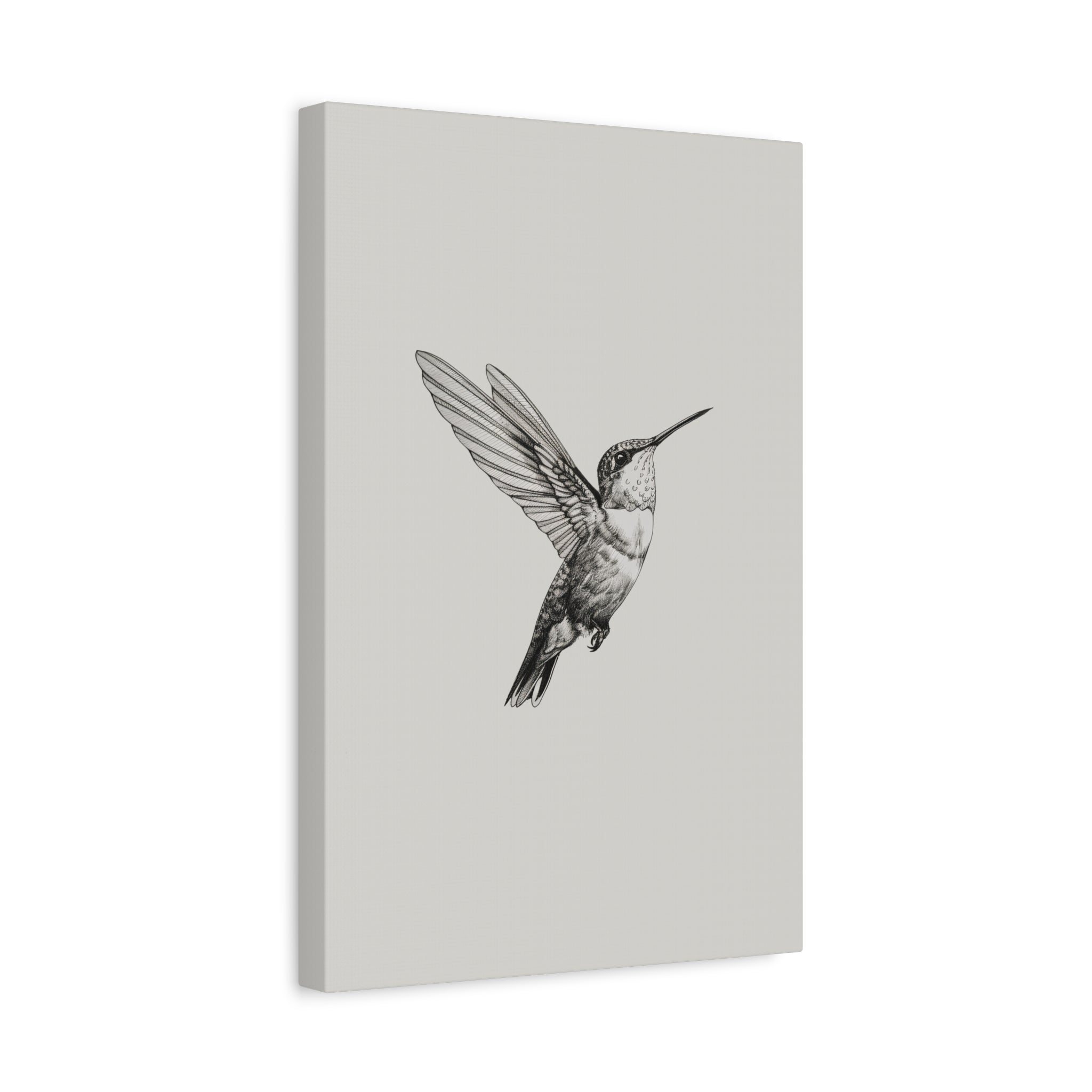 1.25" Matte Canvas - Flying Hummingbird Line Study