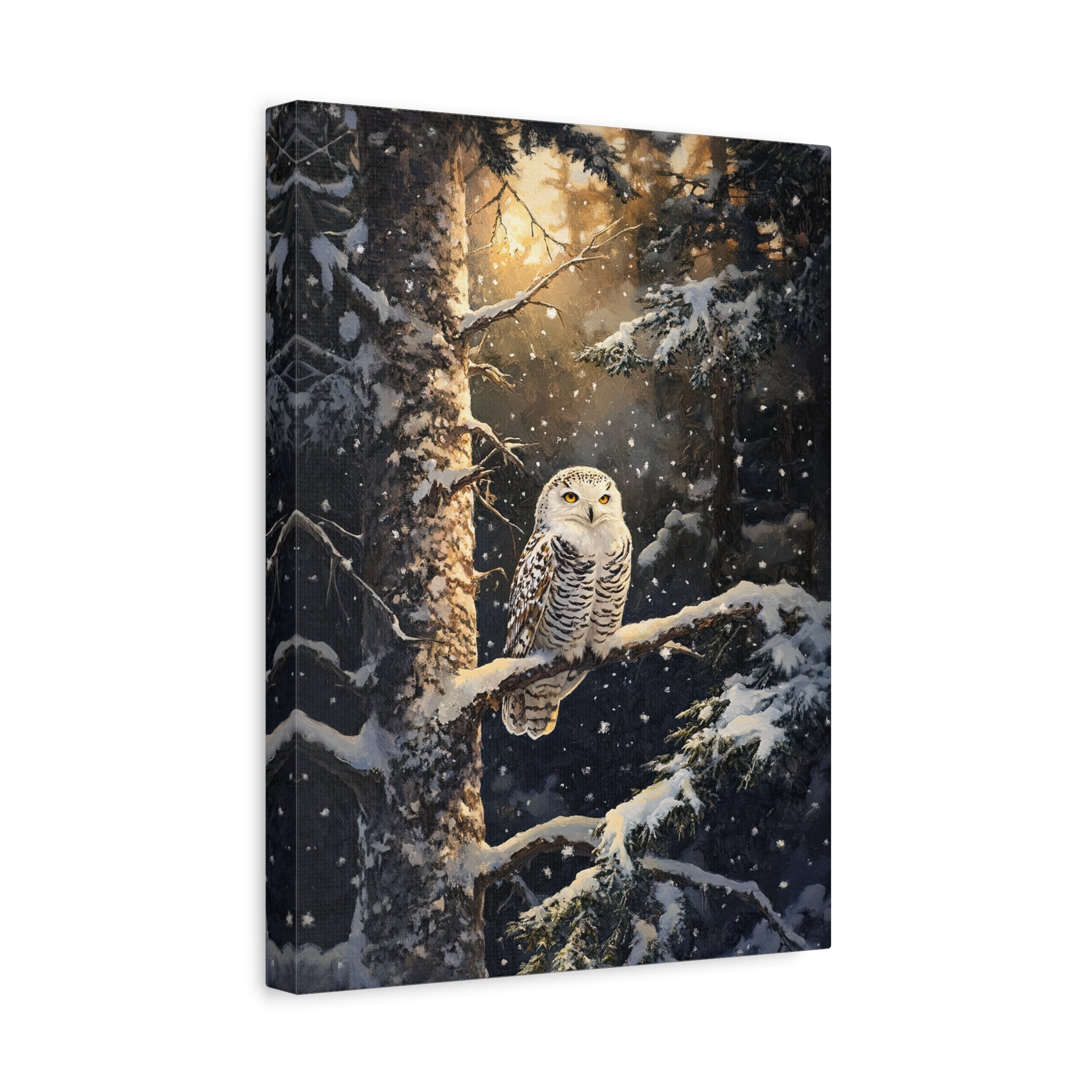 1.25" Matte Canvas - Silent Gaze Snow Owl