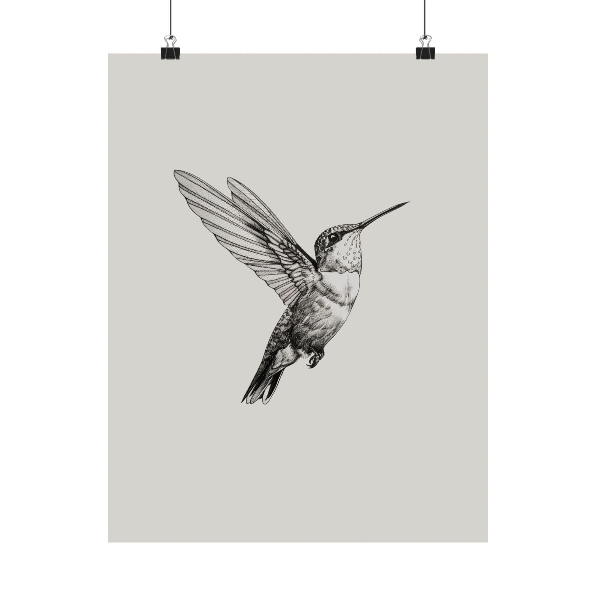 Flying Hummingbird Line Study