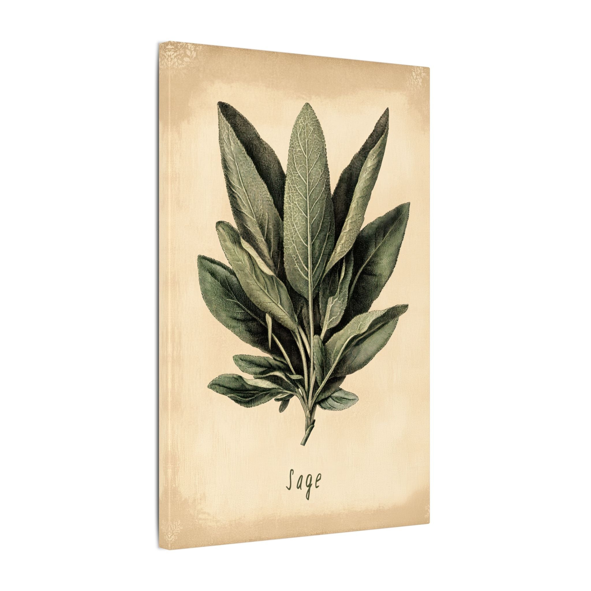 .75" Matte Canvas - Botanical Sage Study