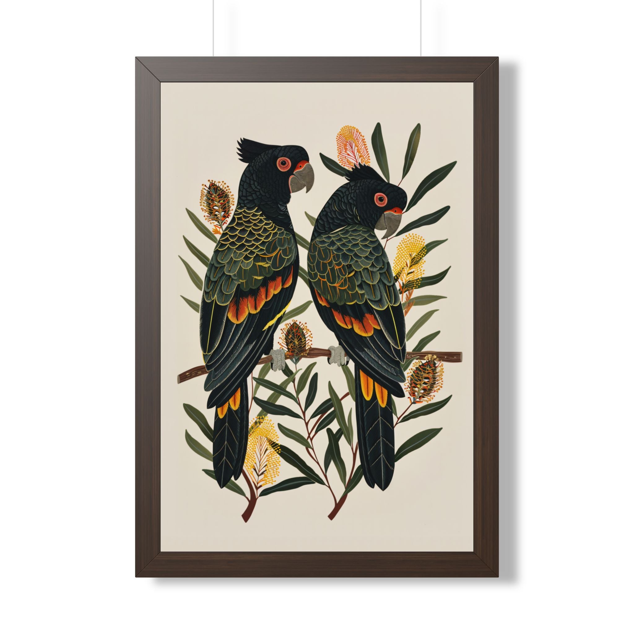 Framed Paper Print - Black Cockatoos Among Banksia