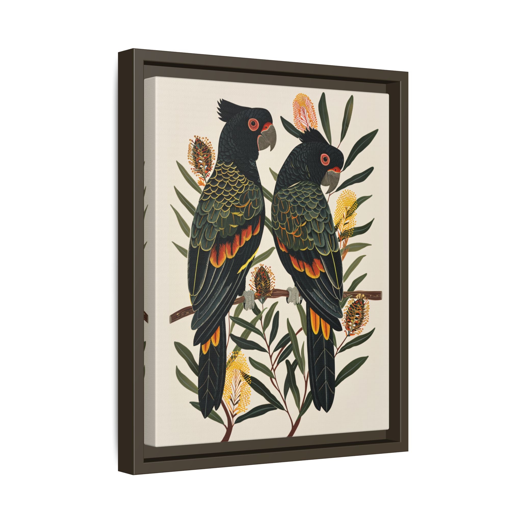 Framed Canvas - Black Cockatoos Among Banksia