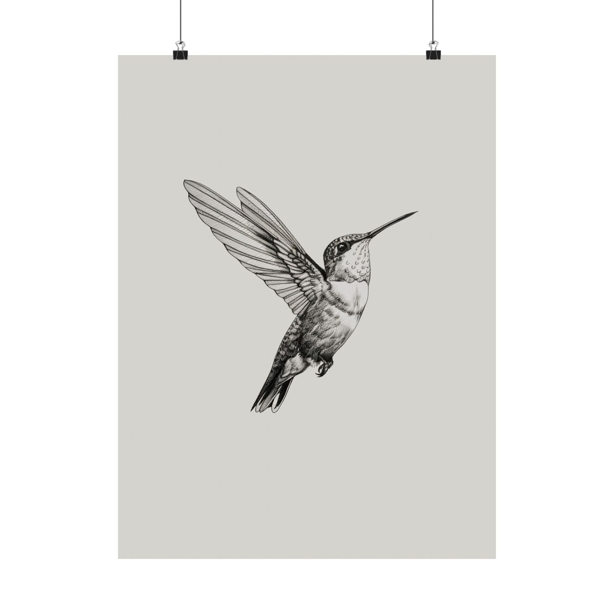 Flying Hummingbird Line Study