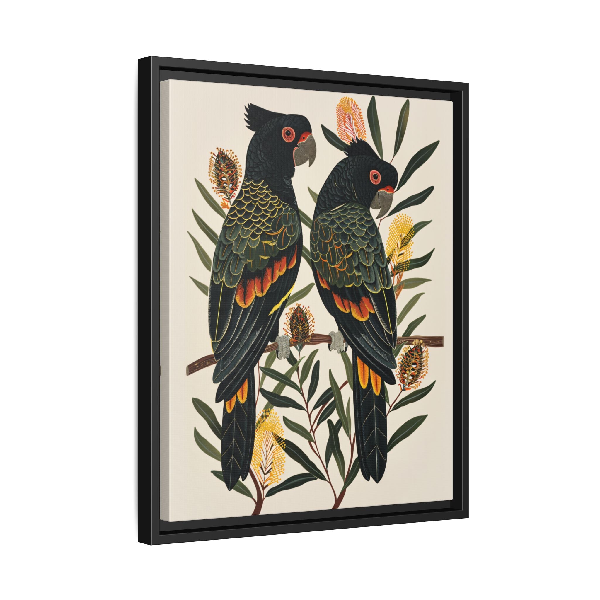 Framed Canvas - Black Cockatoos Among Banksia