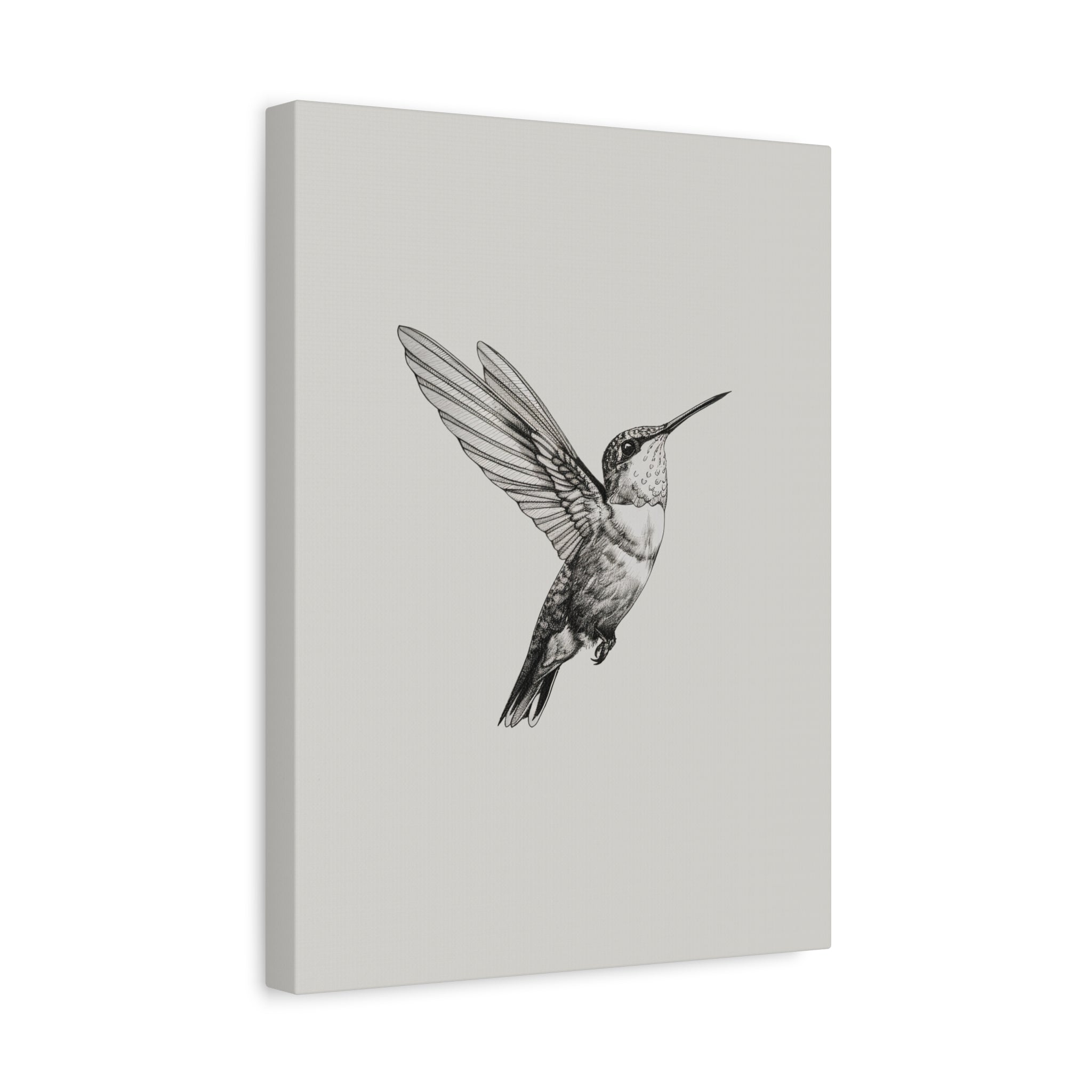 1.25" Matte Canvas - Flying Hummingbird Line Study