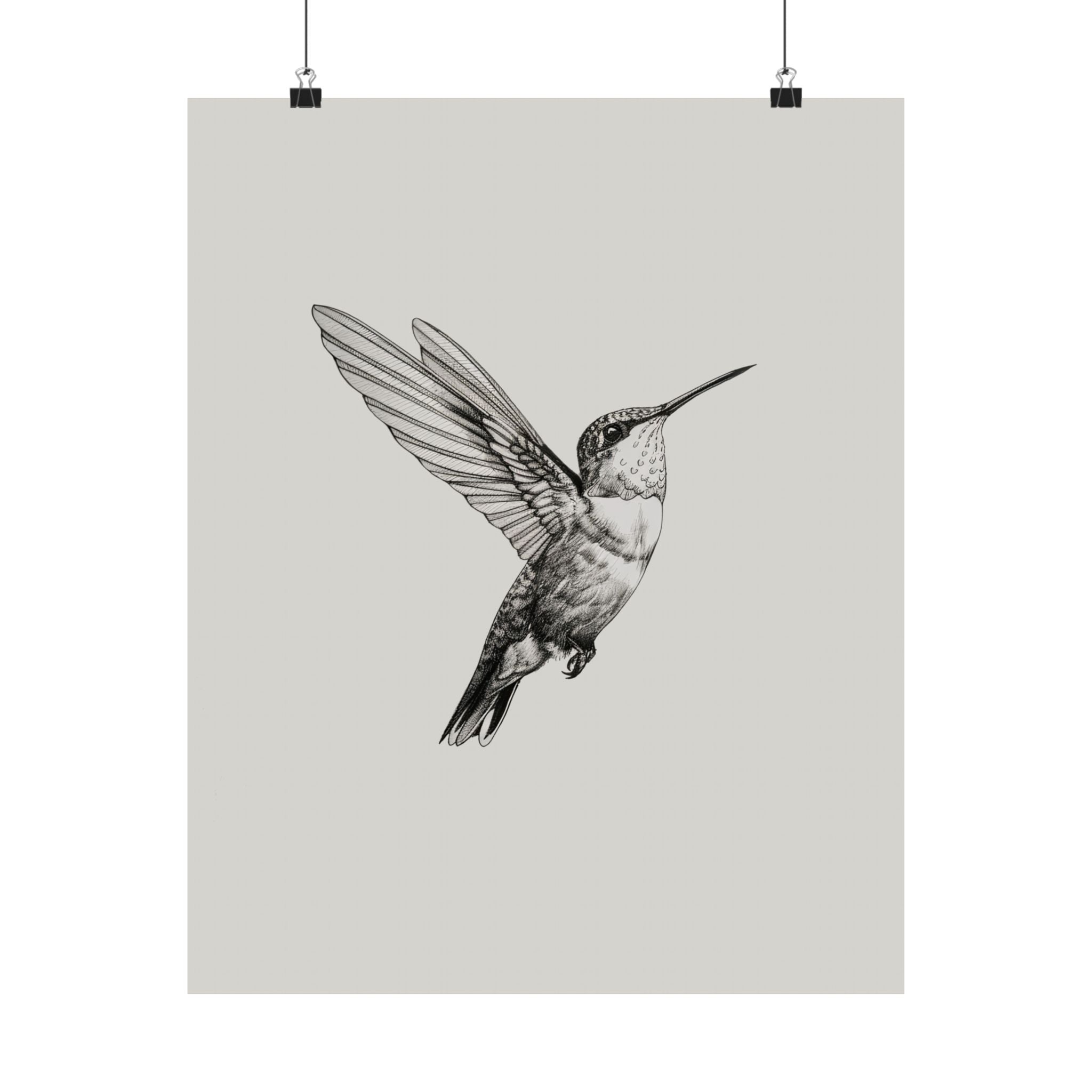 Flying Hummingbird Line Study