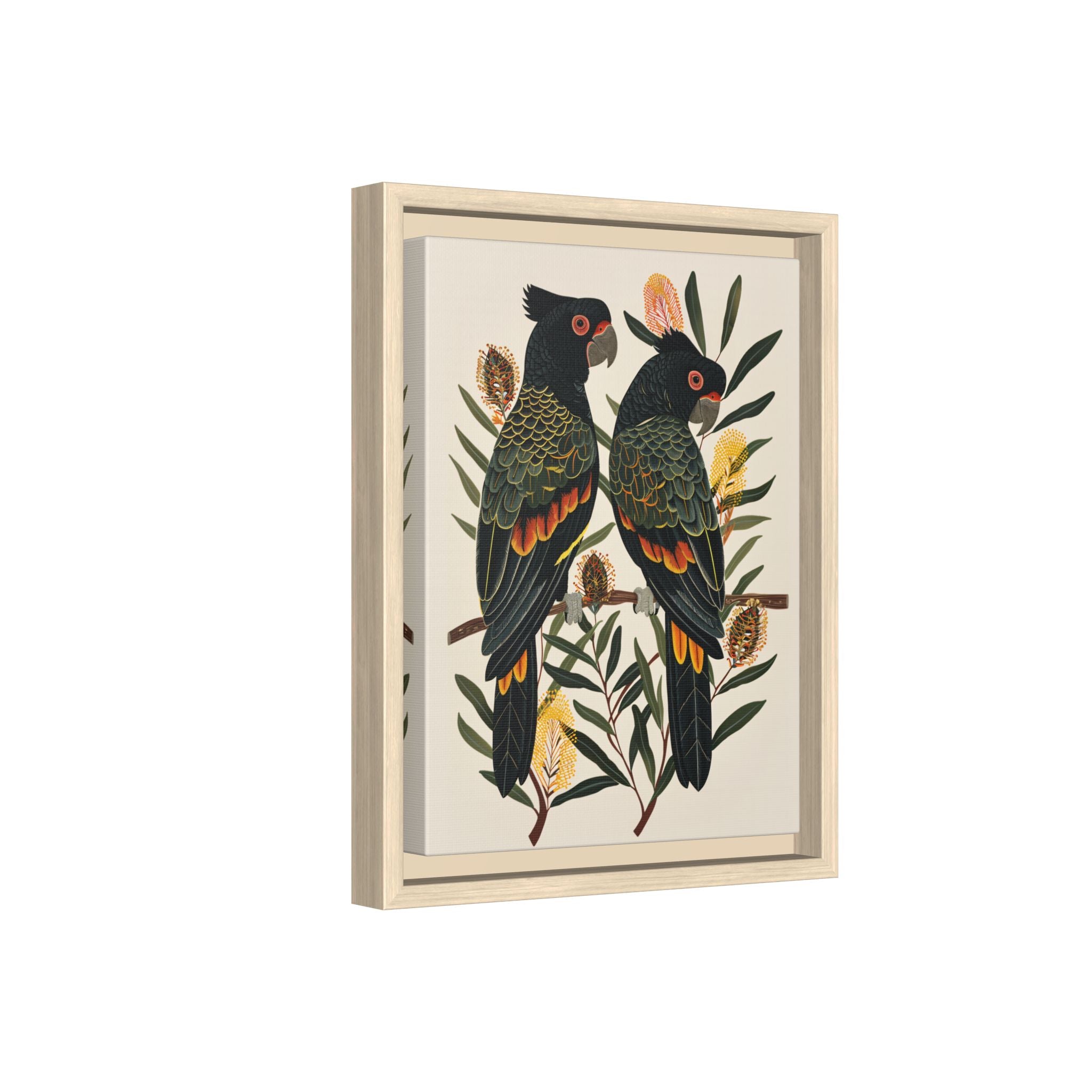 Framed Canvas - Black Cockatoos Among Banksia