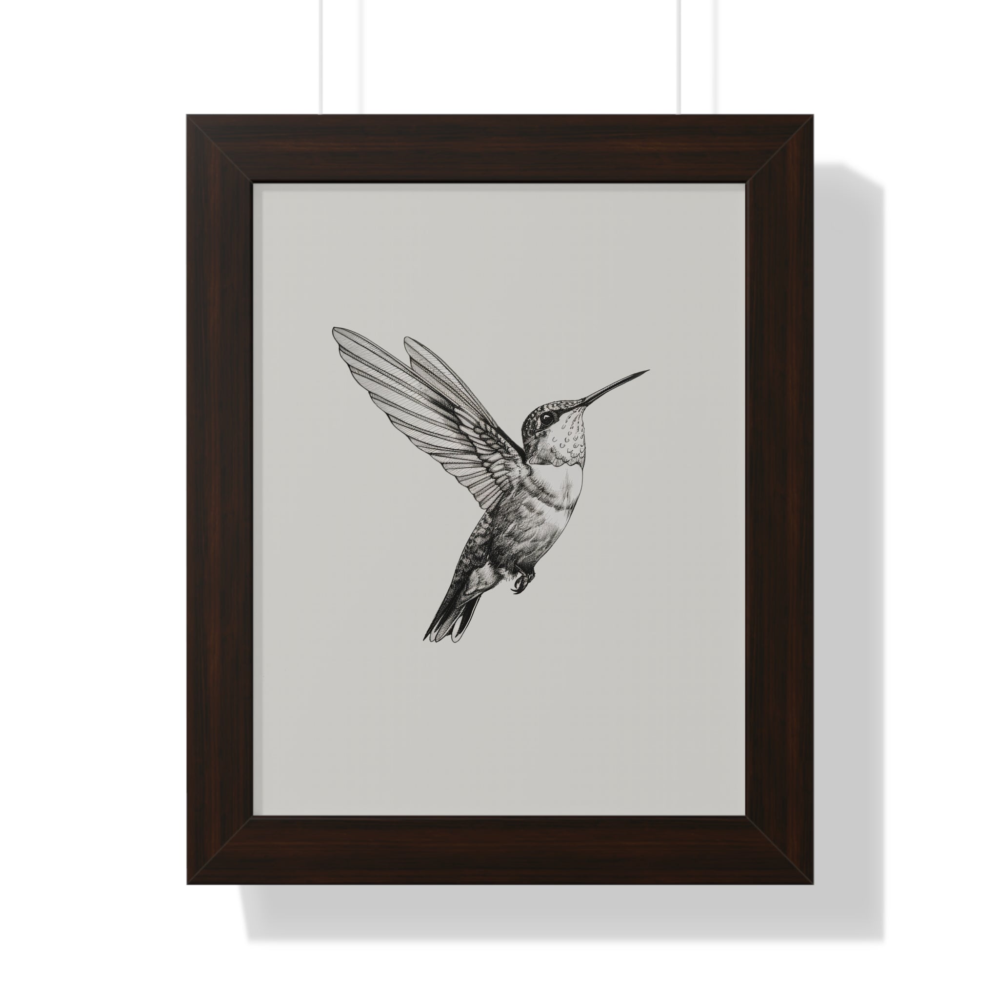 Framed Paper Print - Flying Hummingbird Line Study