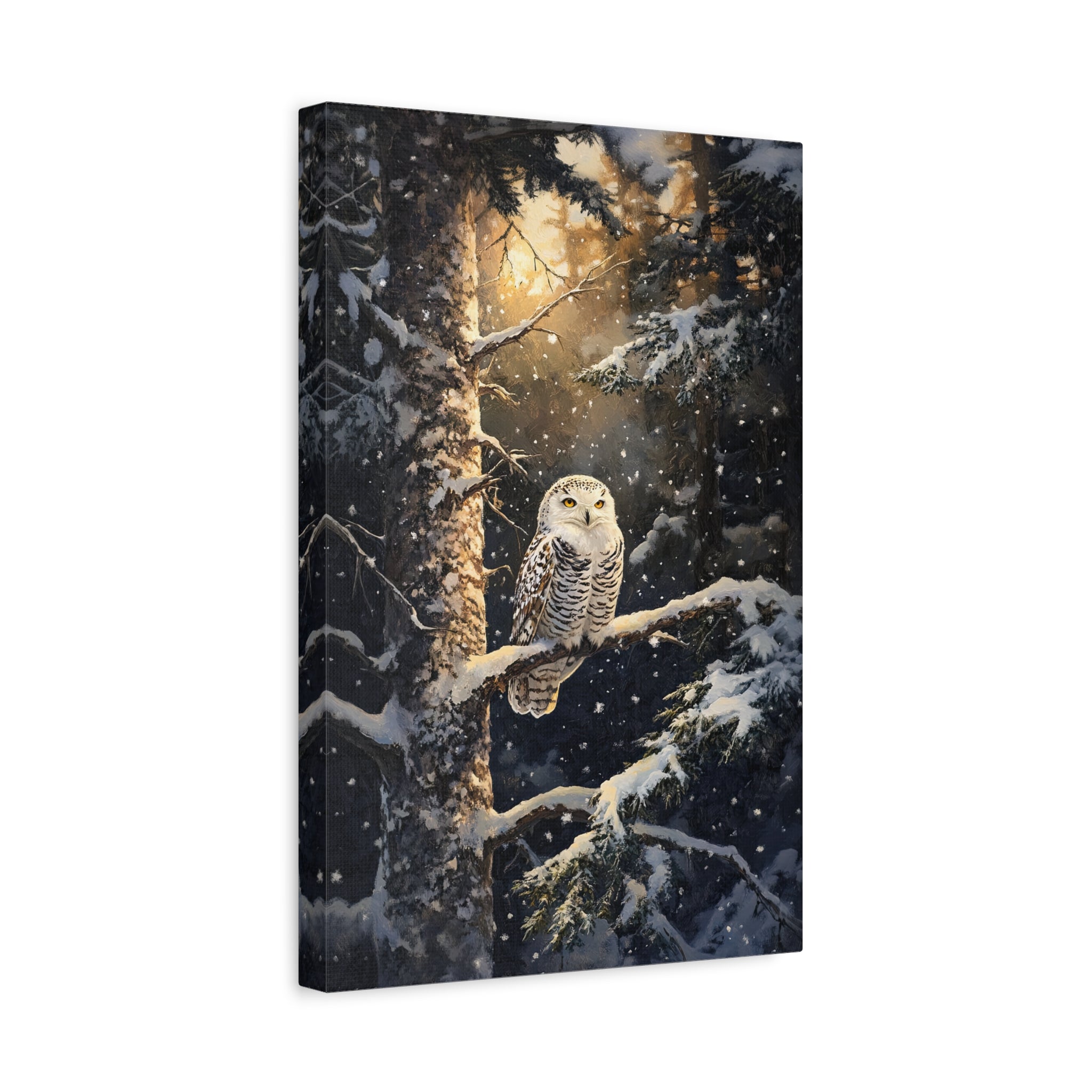 1.25" Matte Canvas - Silent Gaze Snow Owl