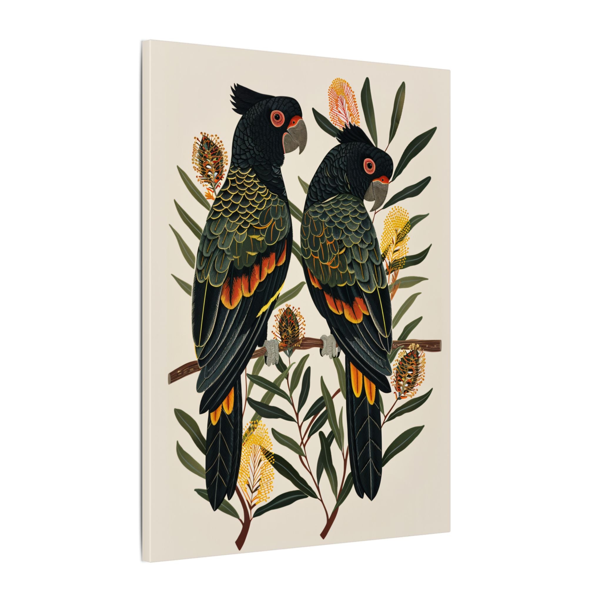 .75" Matte Canvas - Black Cockatoos Among Banksia
