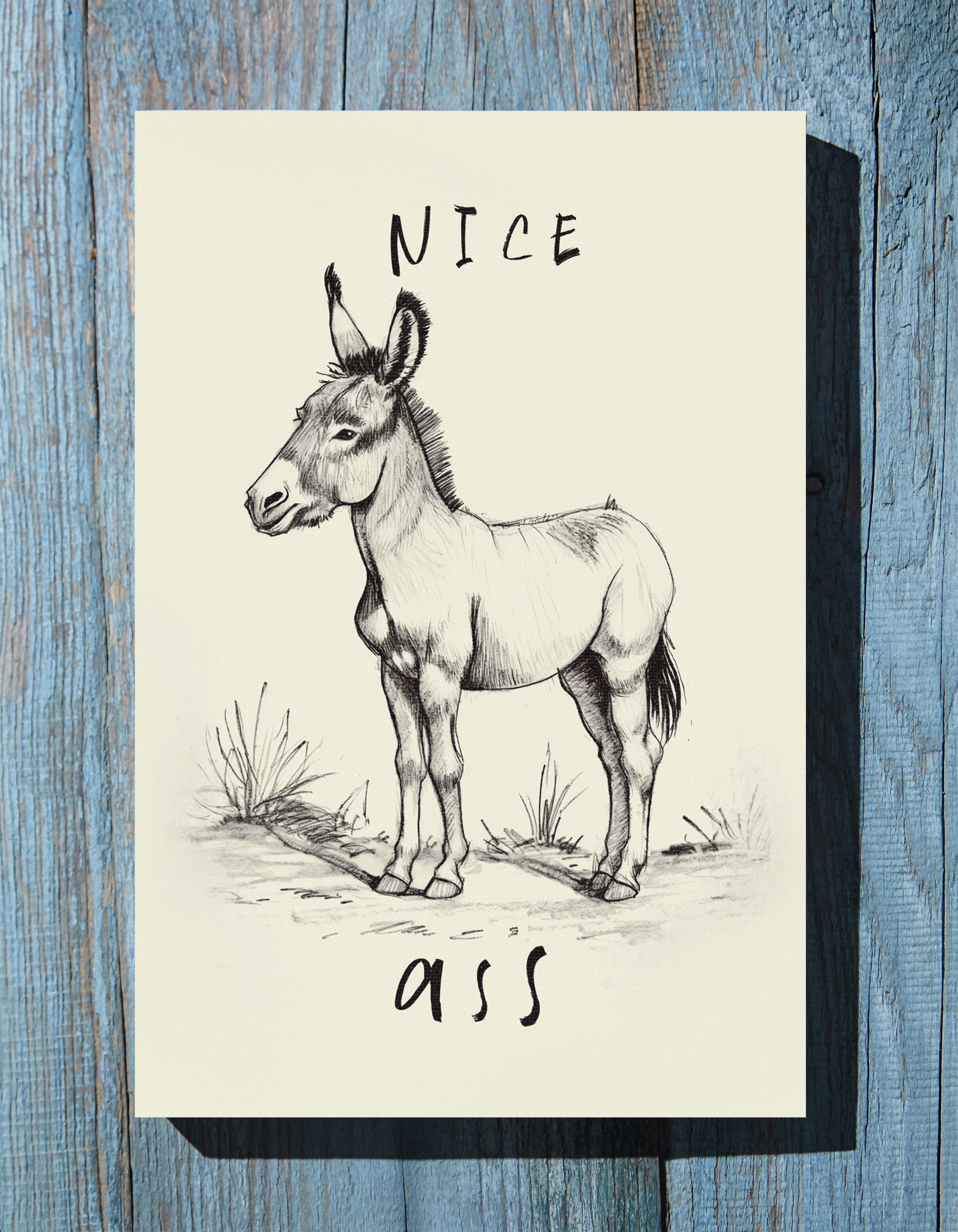 .75" Matte Canvas - Donkey Line Art Humor