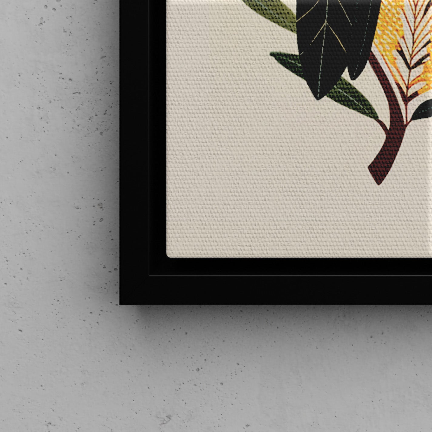 Framed Canvas - Black Cockatoos Among Banksia