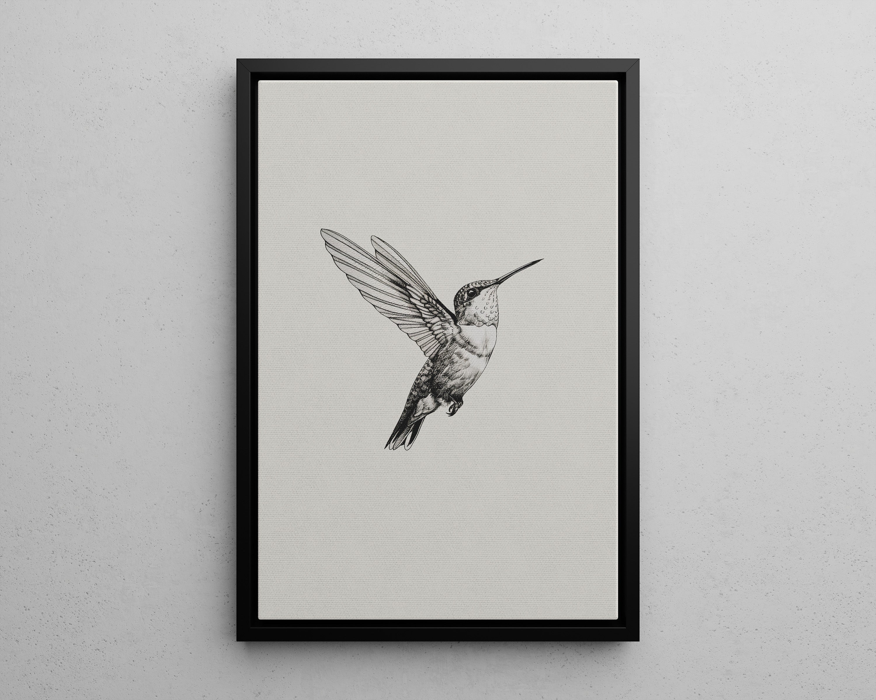 Framed Canvas - Flying Hummingbird Line Study