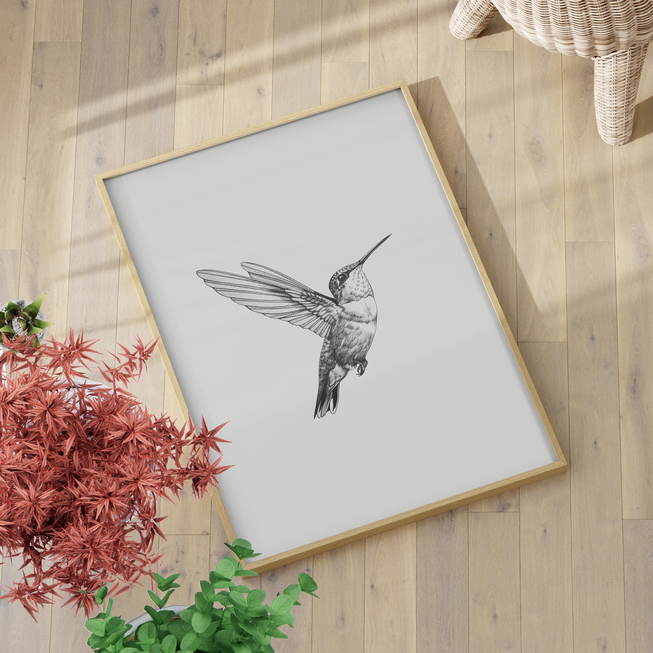 Flying Hummingbird Line Study