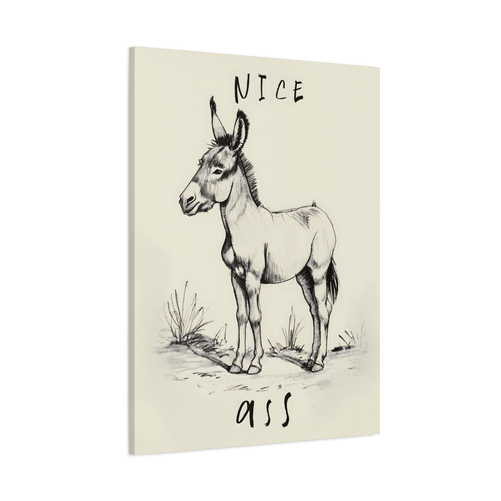 1.25" Matte Canvas - Donkey Line Art Humor