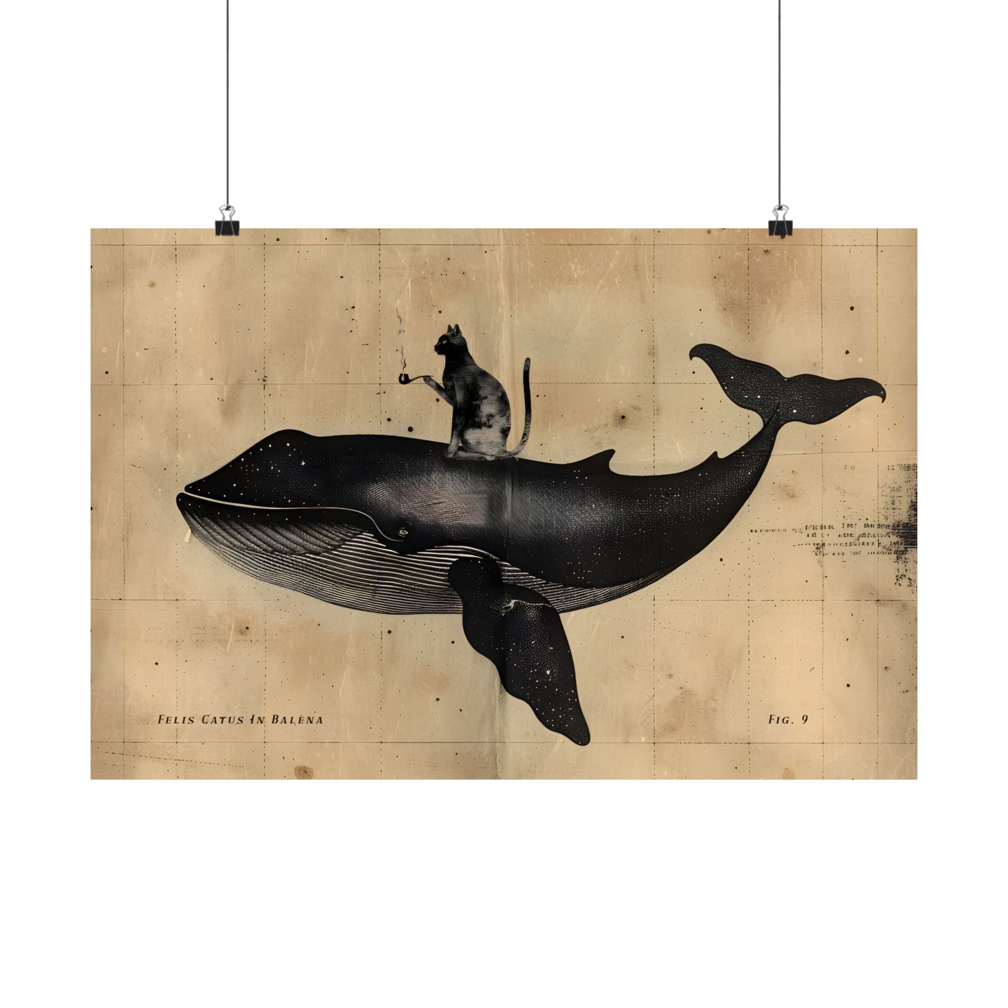 Cat Rides Whale Theory