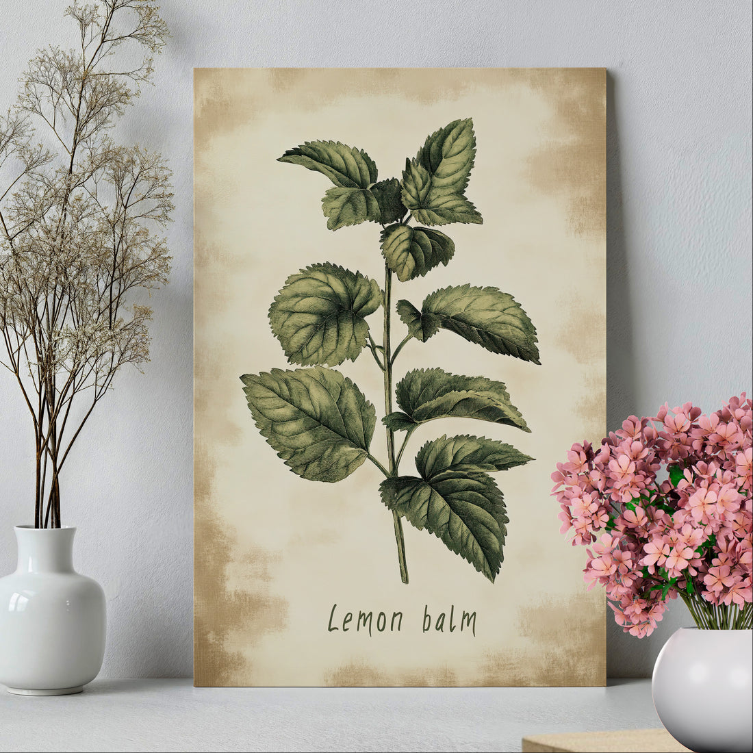 .75" Matte Canvas - Botanical Lemon Balm Study