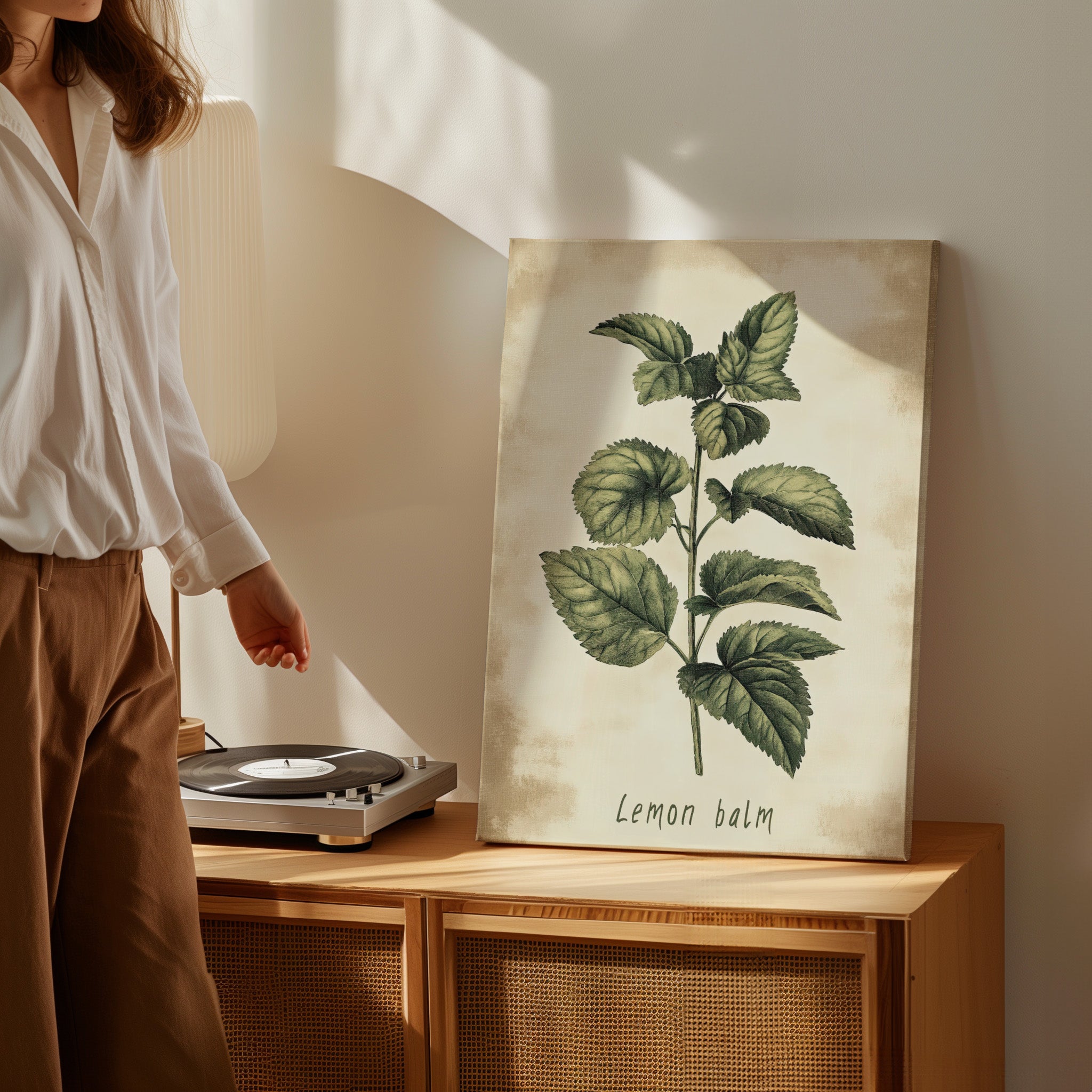 .75" Matte Canvas - Botanical Lemon Balm Study