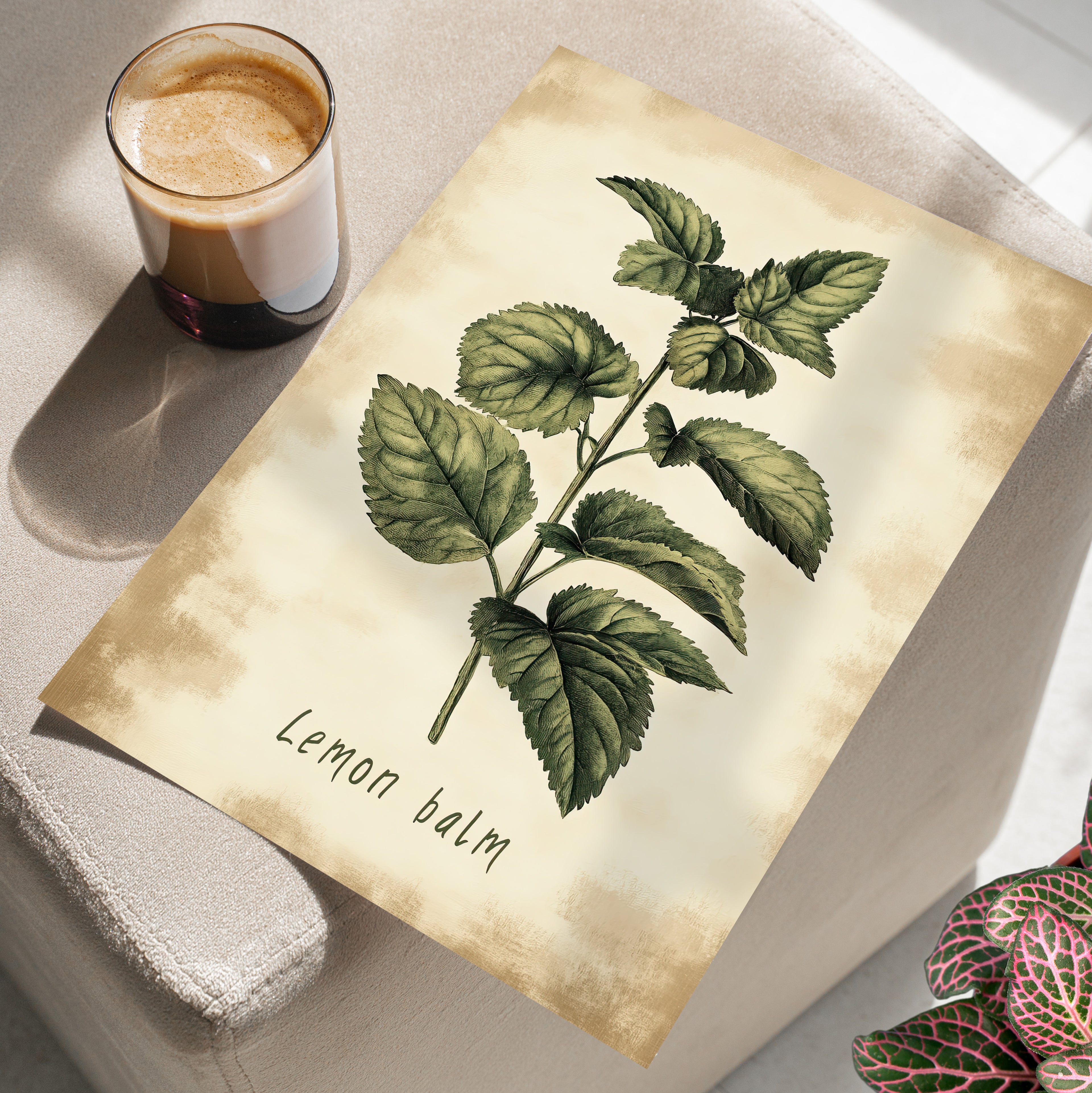 Botanical Lemon Balm Study