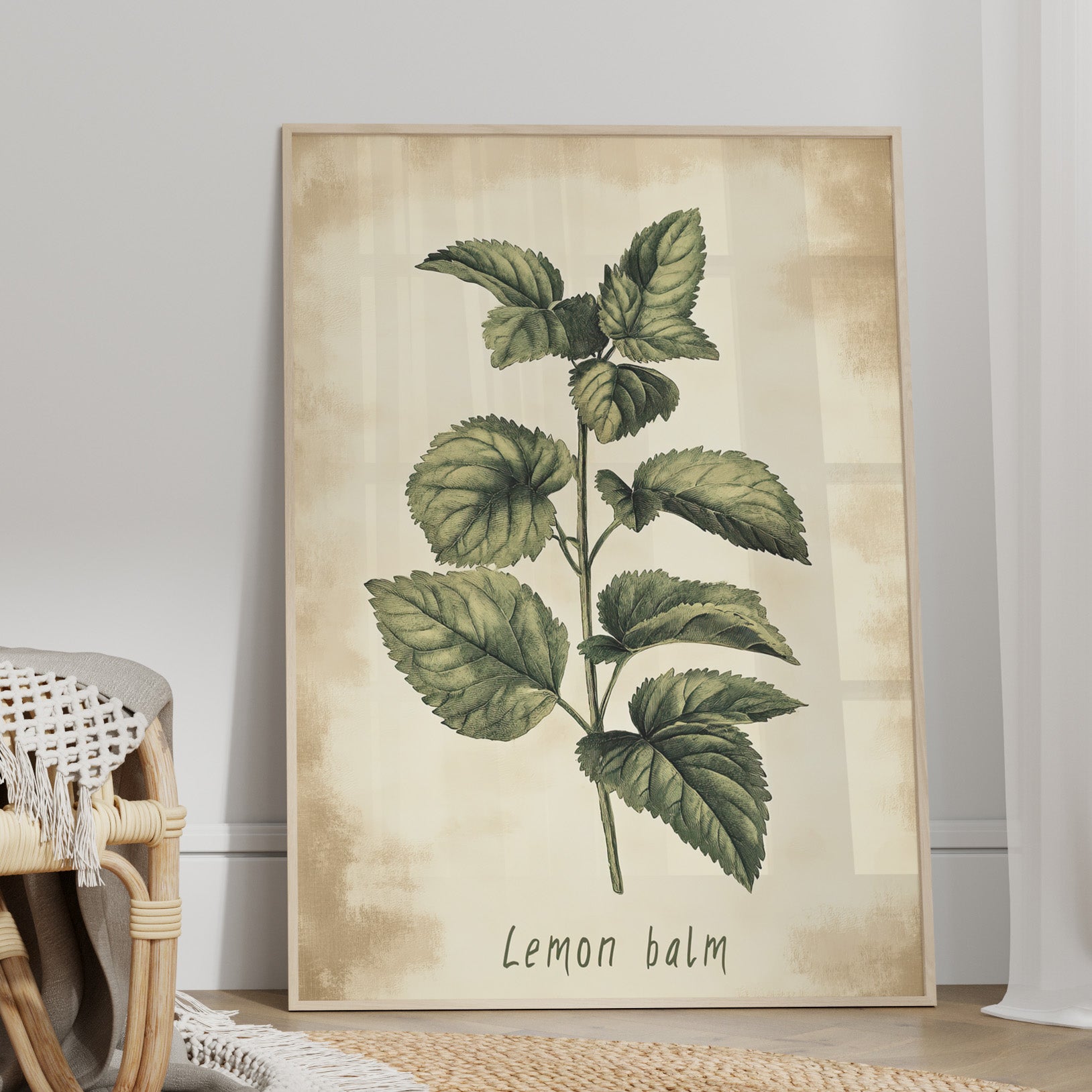 Botanical Lemon Balm Study