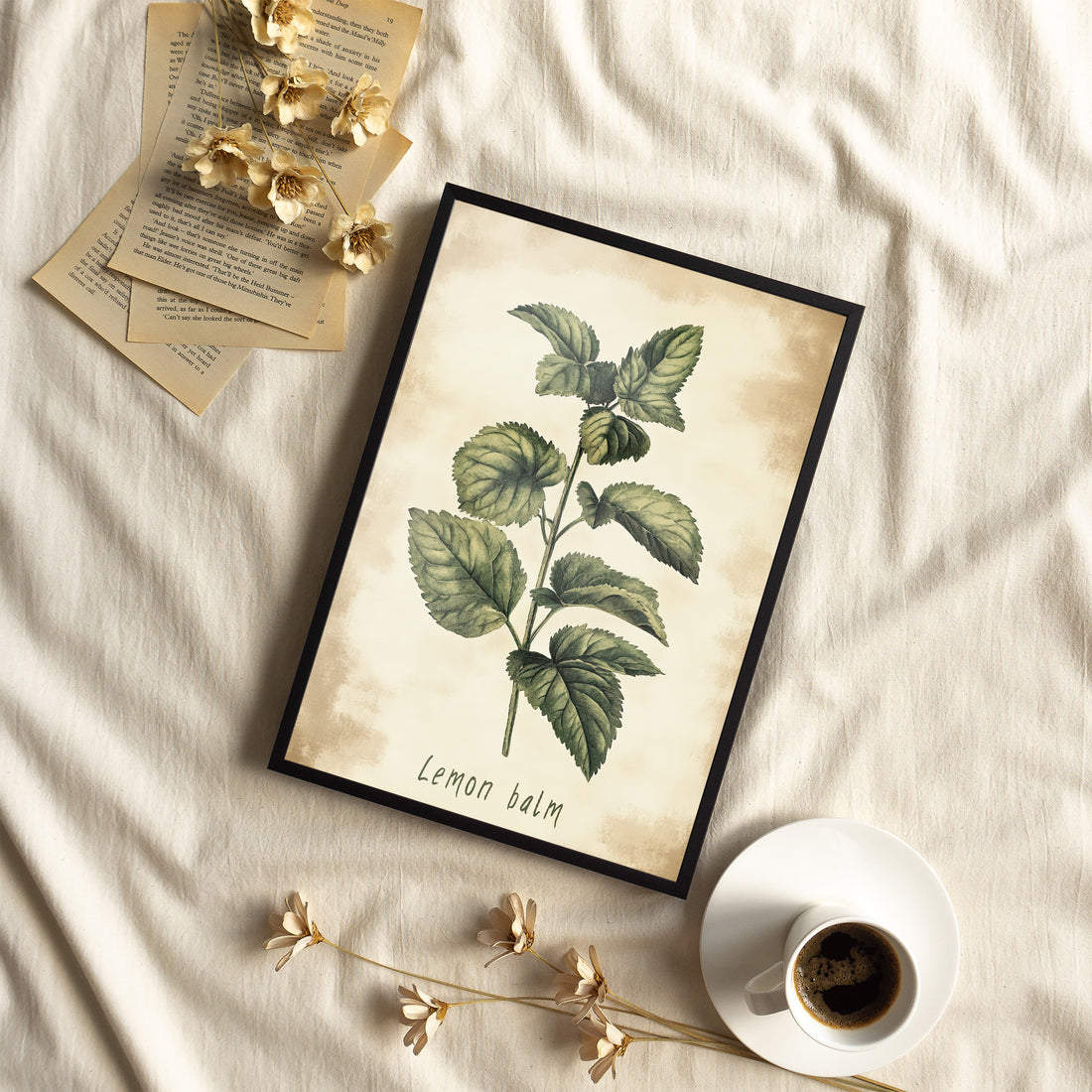Framed Paper Print - Botanical Lemon Balm Study