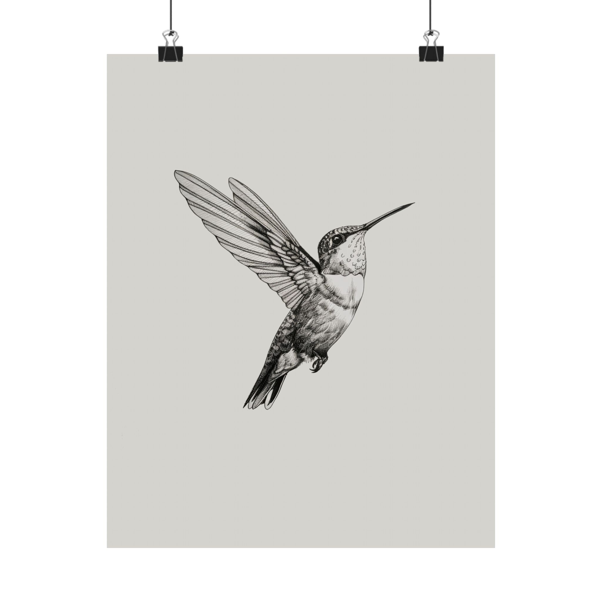Flying Hummingbird Line Study
