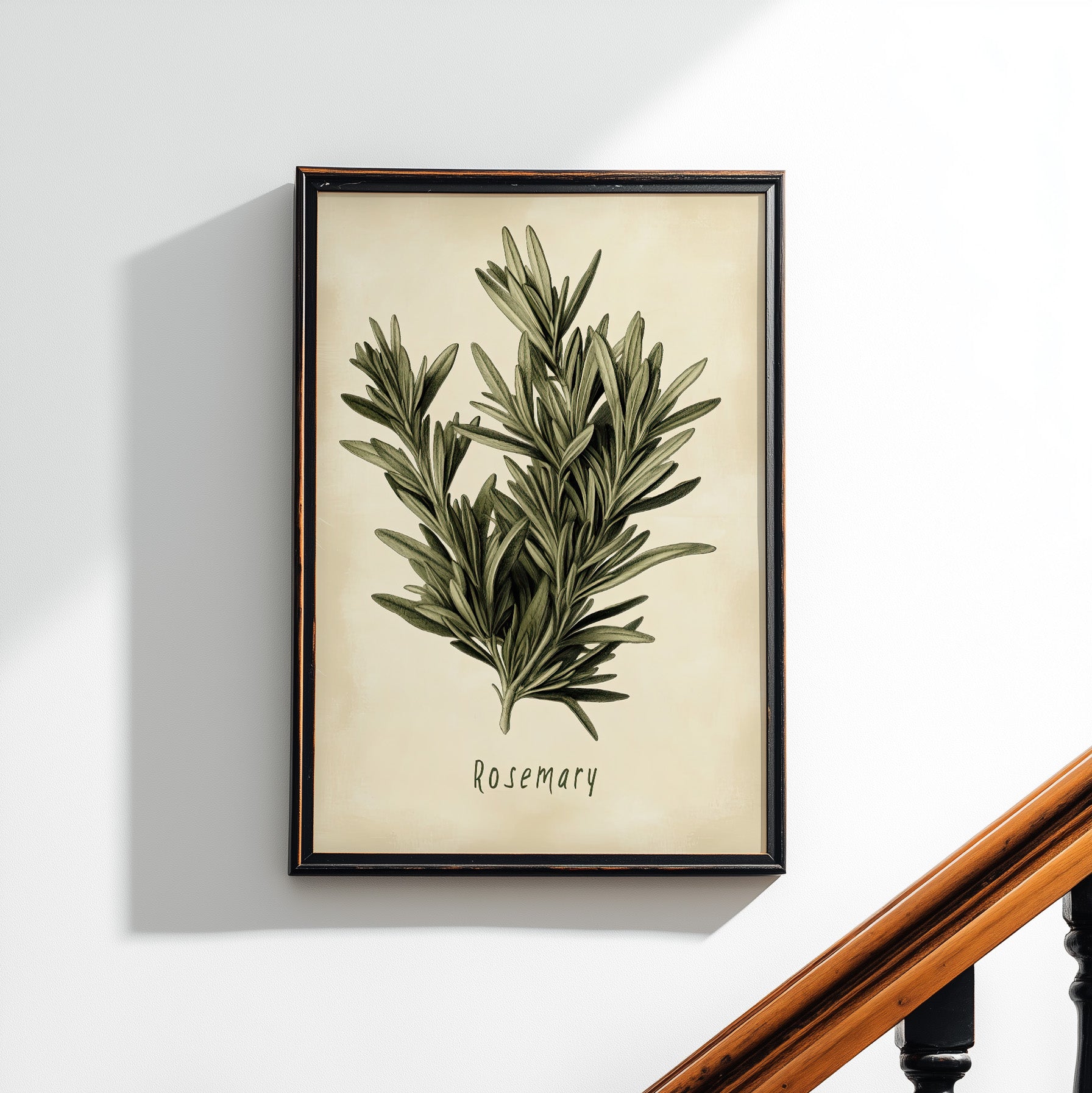 Botanical Rosemary Study