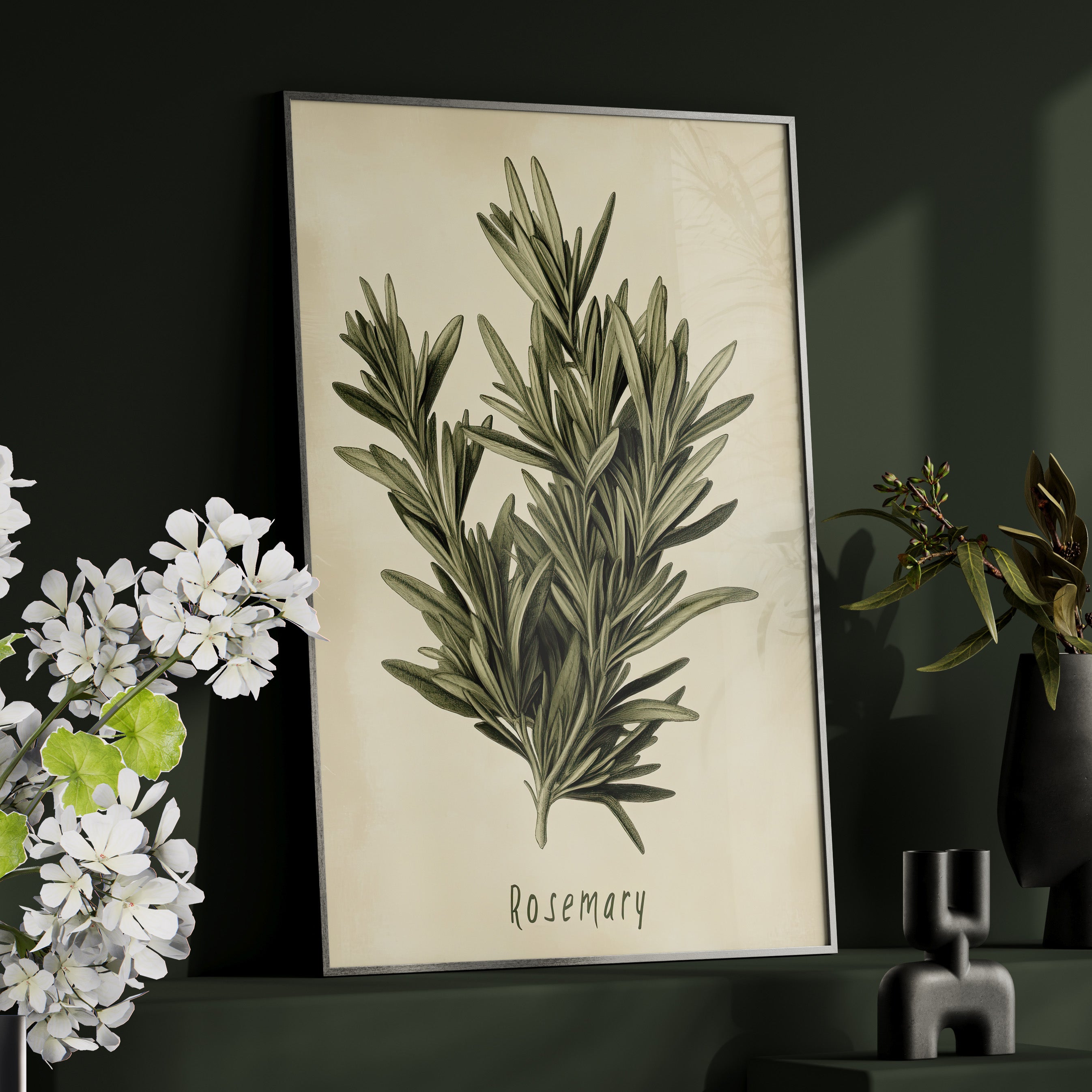Framed Paper Print - Botanical Rosemary Study