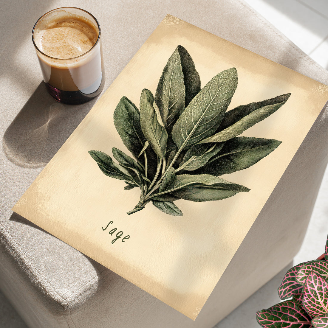 Botanical Sage Study