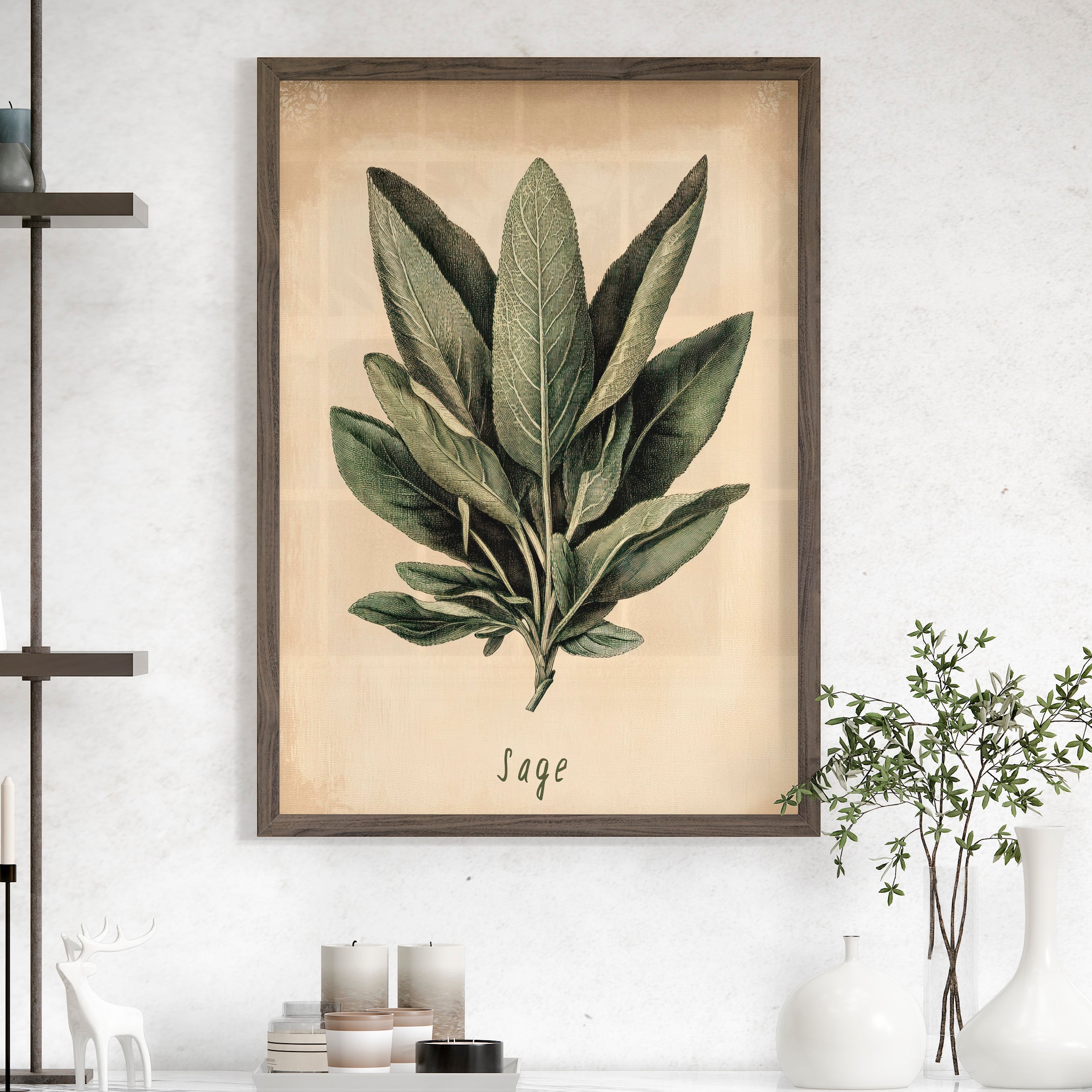 Botanical Sage Study