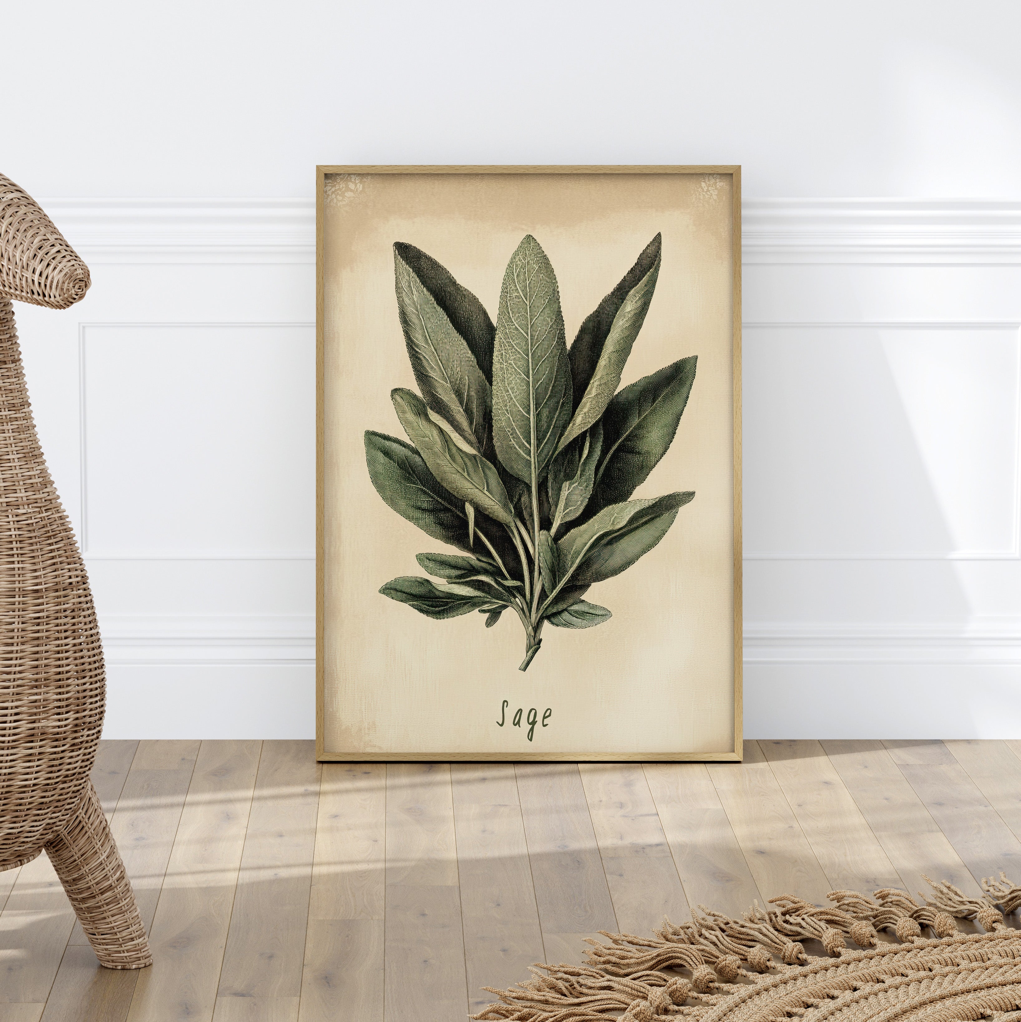 Botanical Sage Study