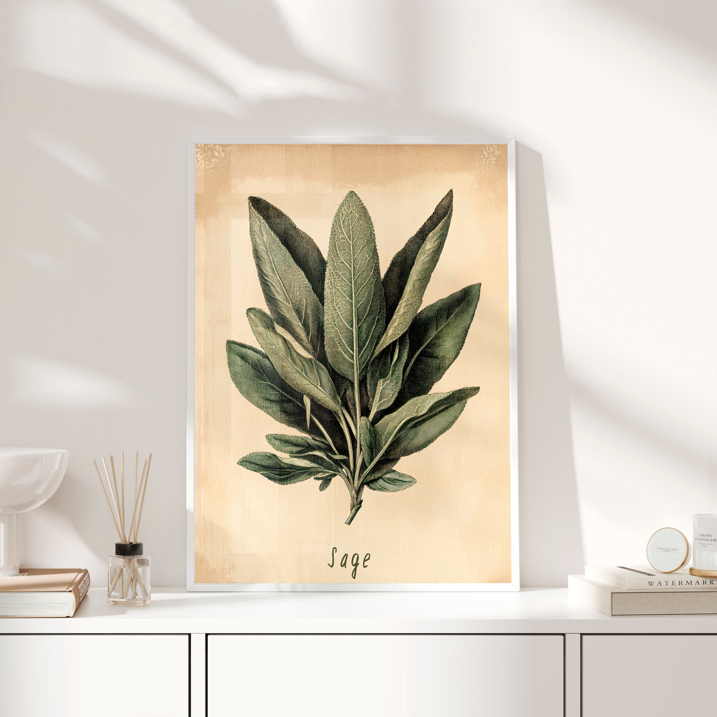 Framed Paper Print - Botanical Sage Study