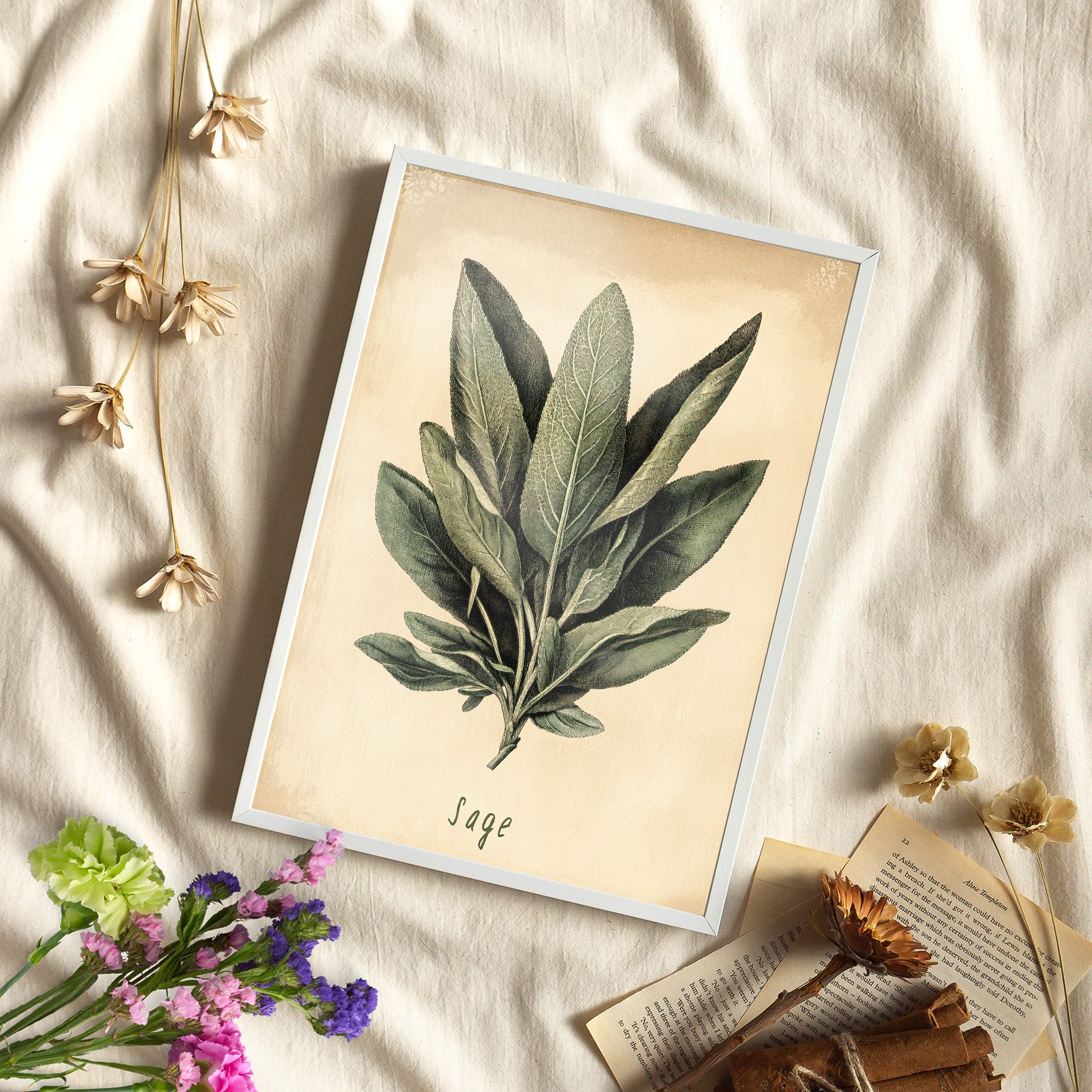 Framed Paper Print - Botanical Sage Study
