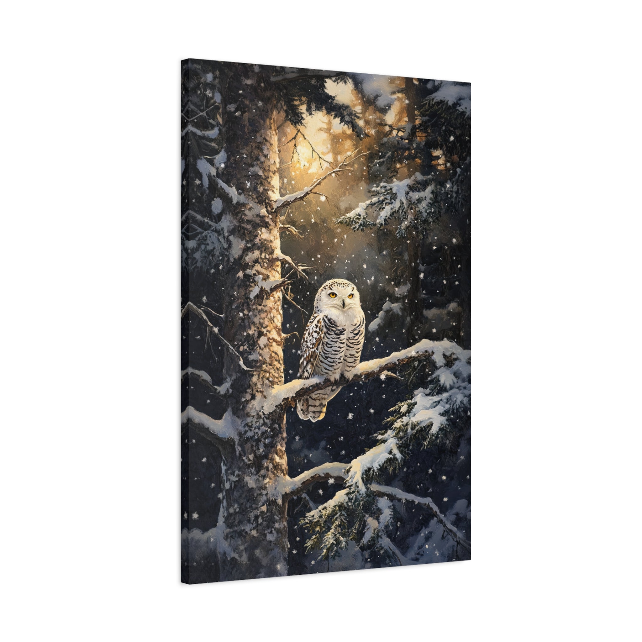 1.25" Matte Canvas - Silent Gaze Snow Owl