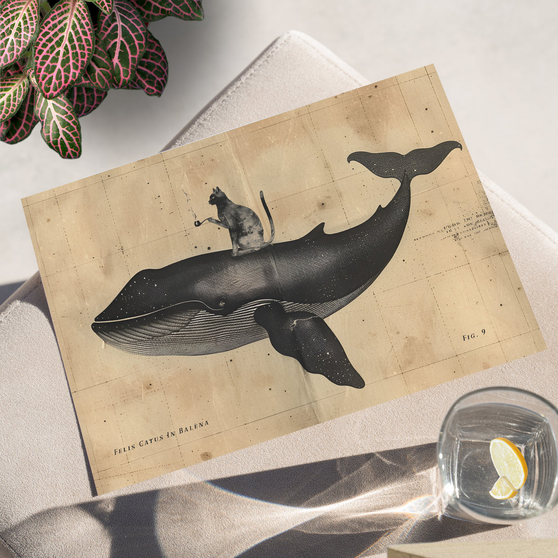 Cat Rides Whale Theory