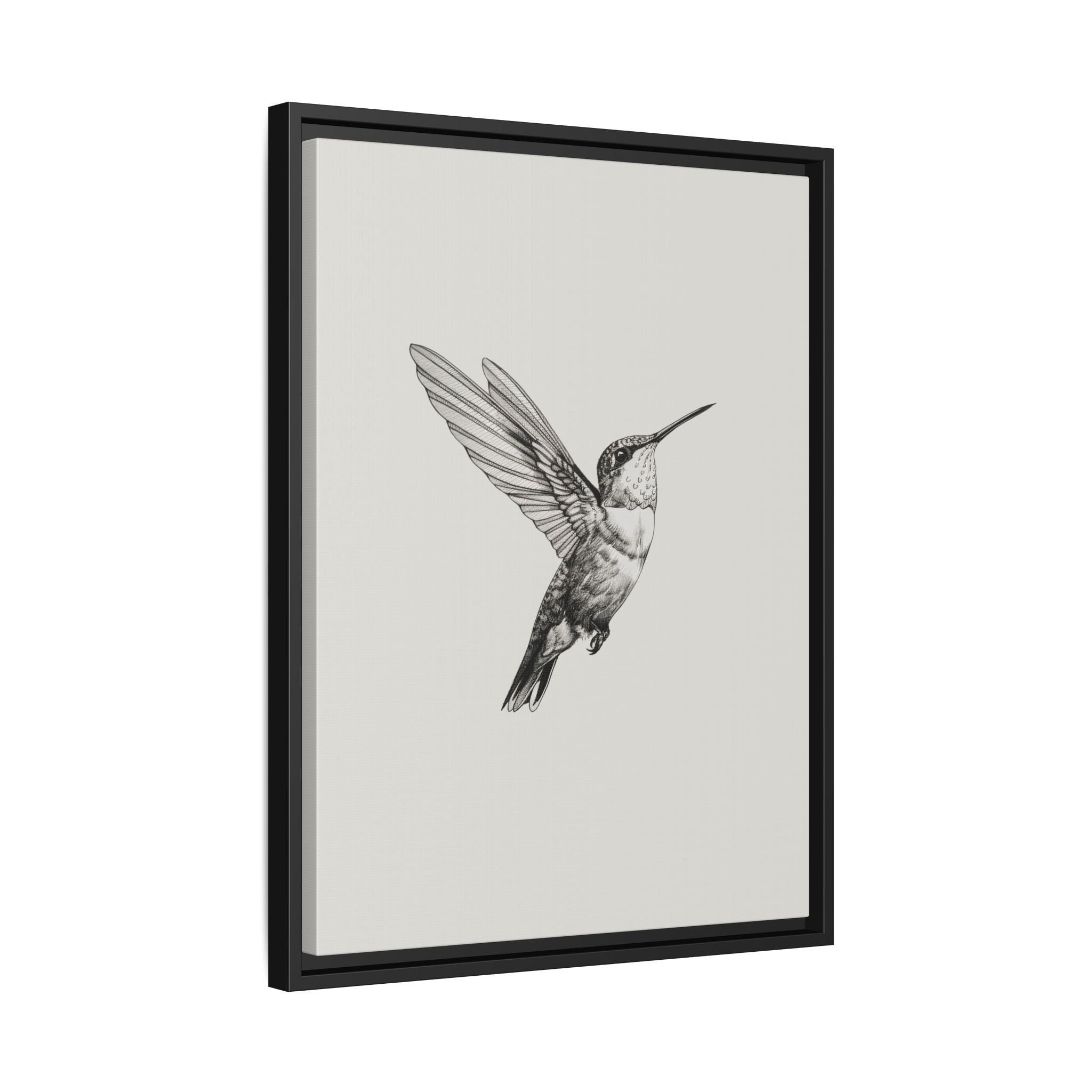 Framed Canvas - Flying Hummingbird Line Study
