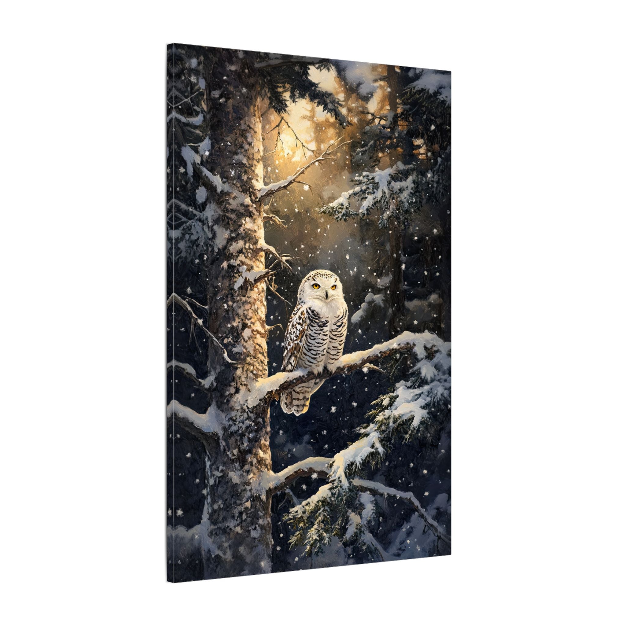 .75" Matte Canvas - Silent Gaze Snow Owl