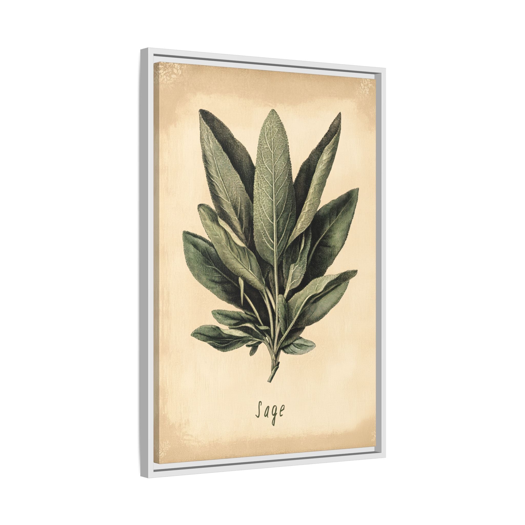 Framed Canvas - Botanical Sage Study