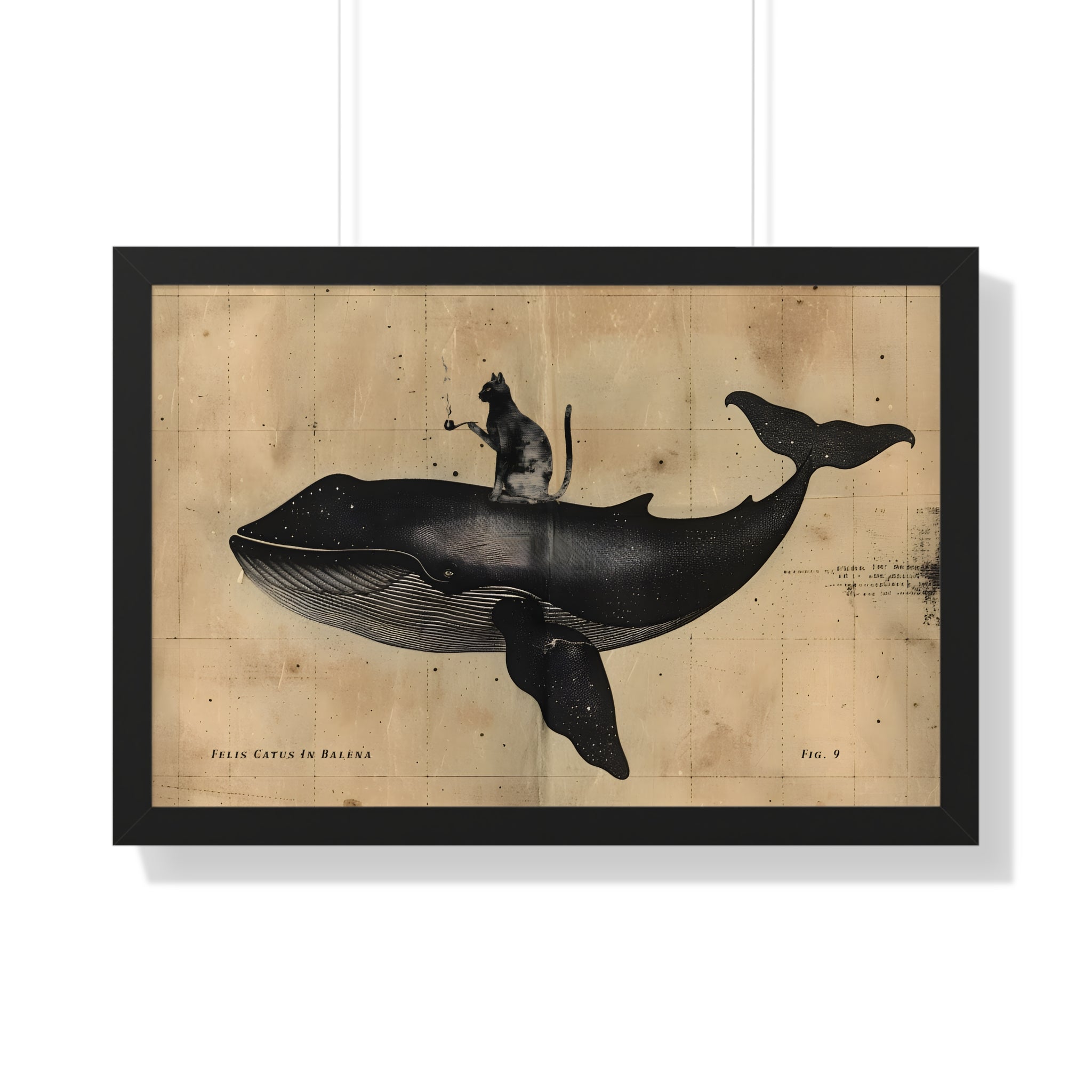 Framed Paper Print - Cat Rides Whale Theory