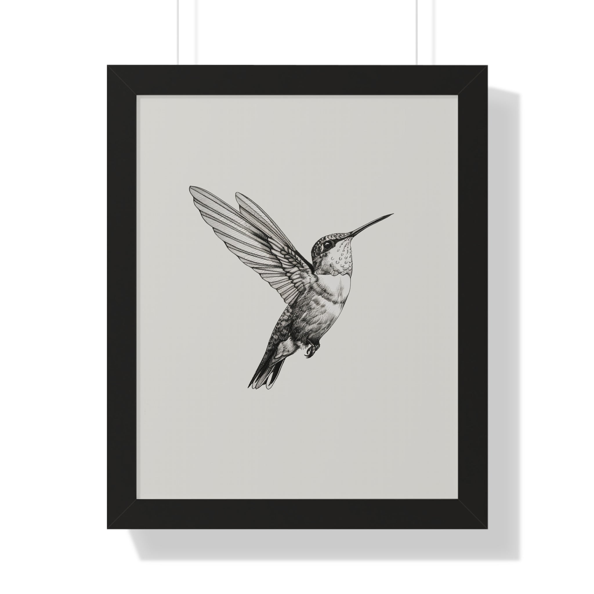 Framed Paper Print - Flying Hummingbird Line Study