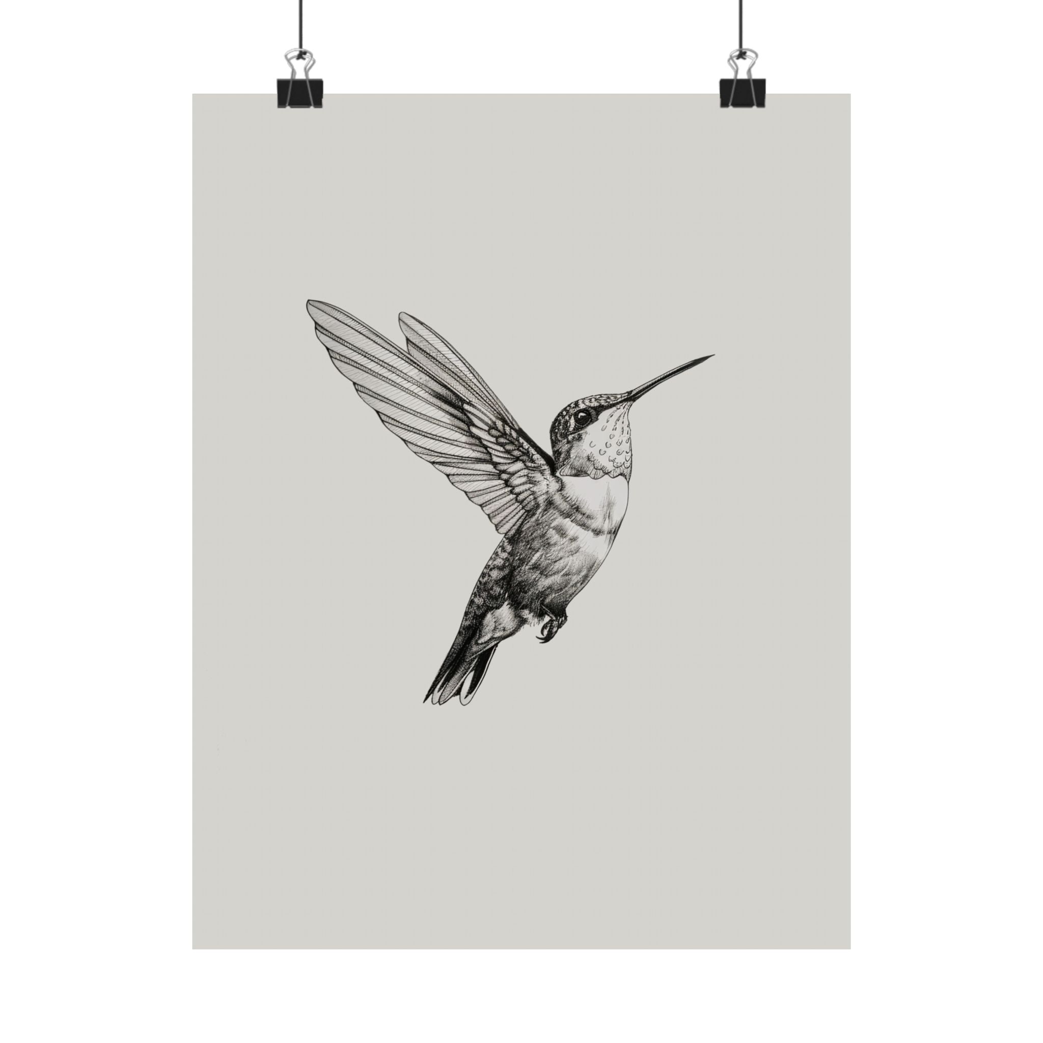 Flying Hummingbird Line Study
