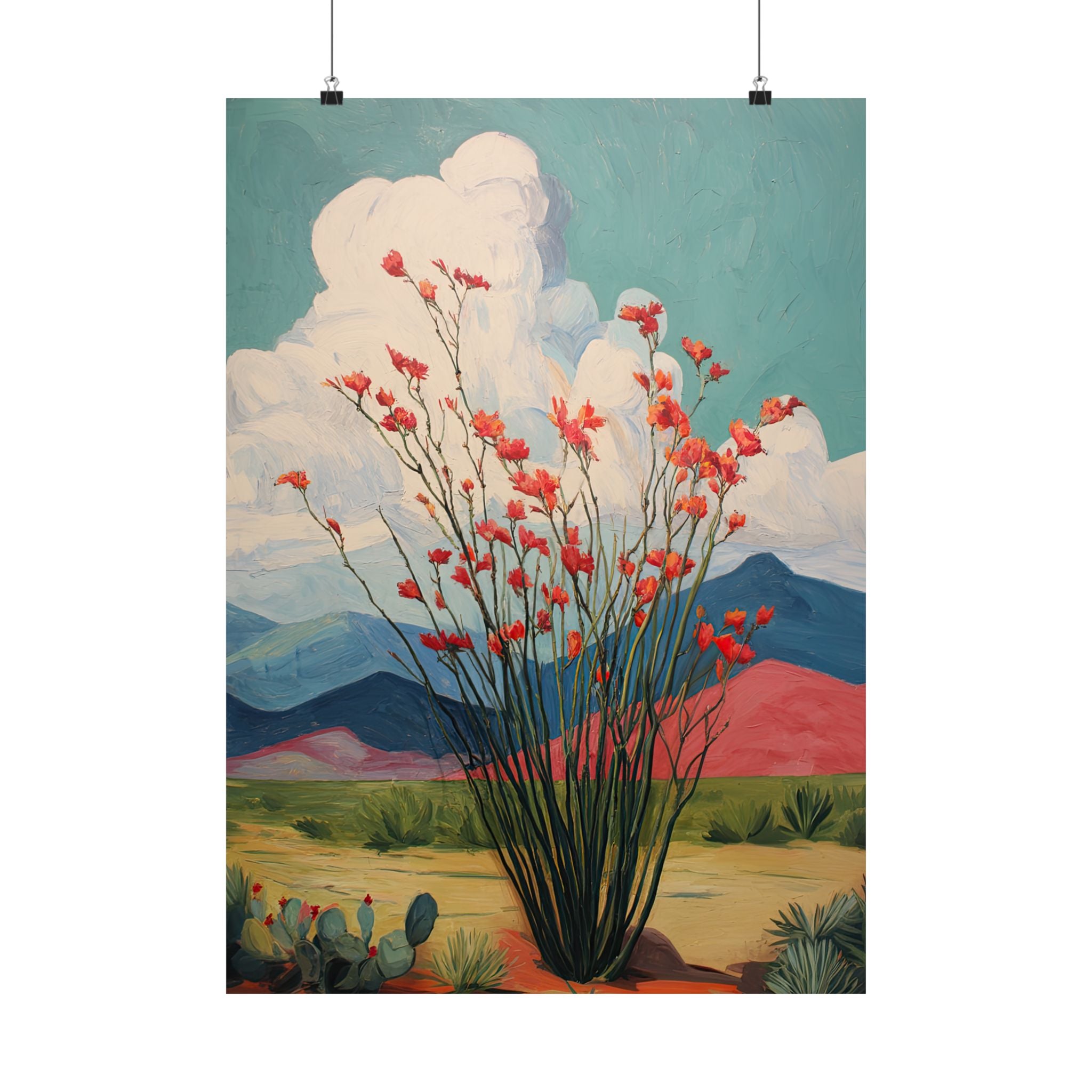 Ocotillo Cactus Desert Bloom