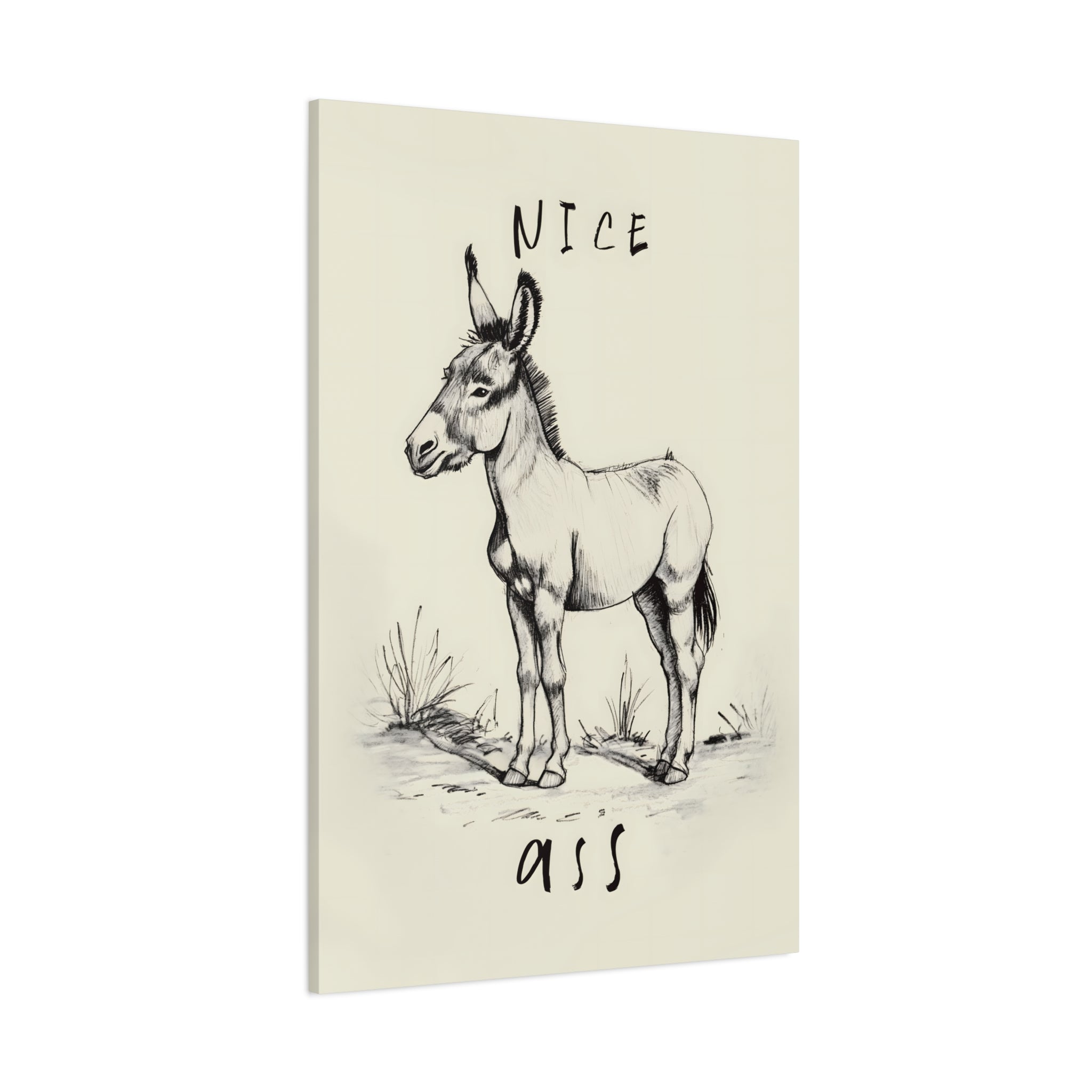 1.25" Matte Canvas - Donkey Line Art Humor